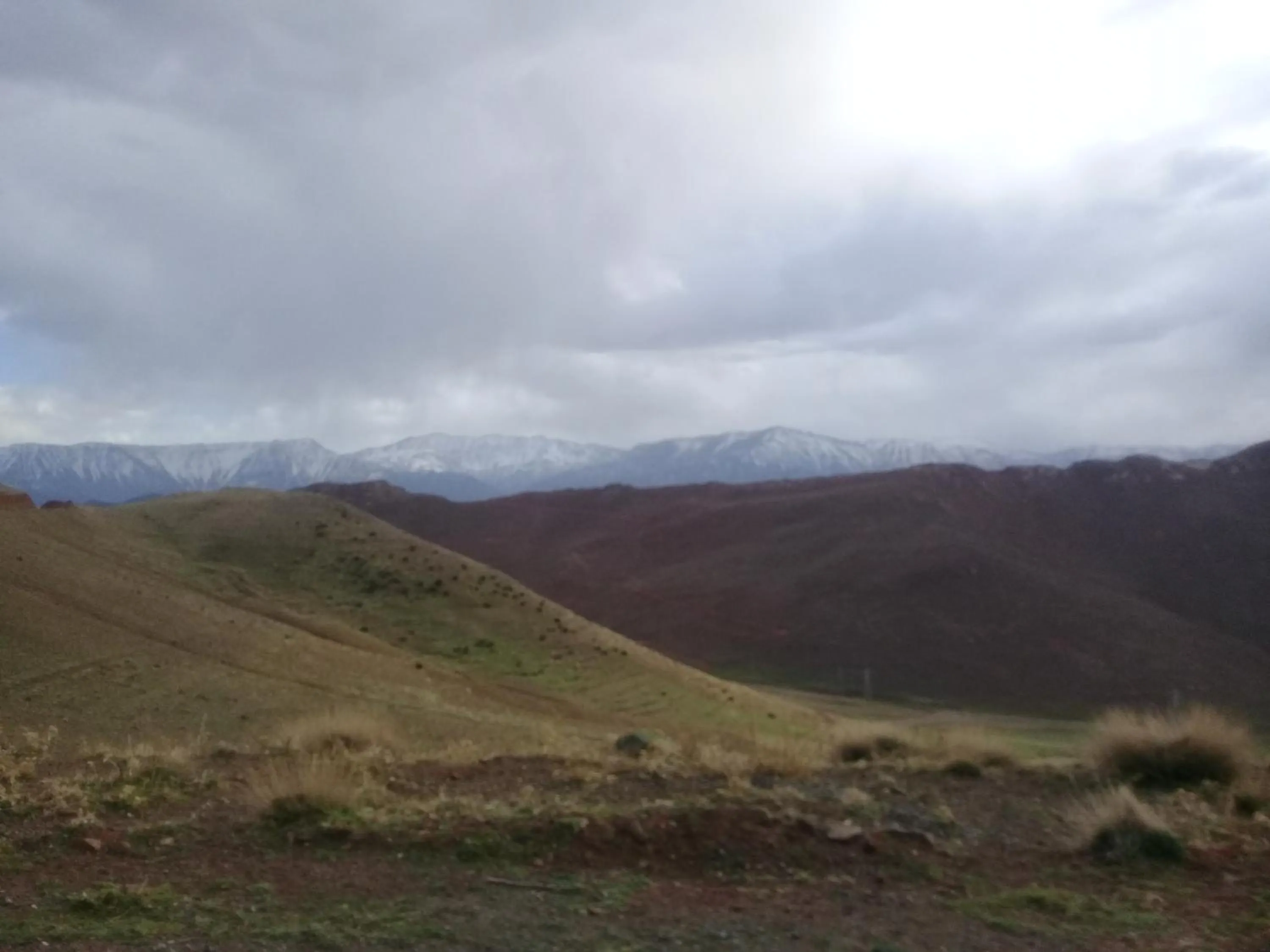 Auberge Restaurant Les Coquelicots