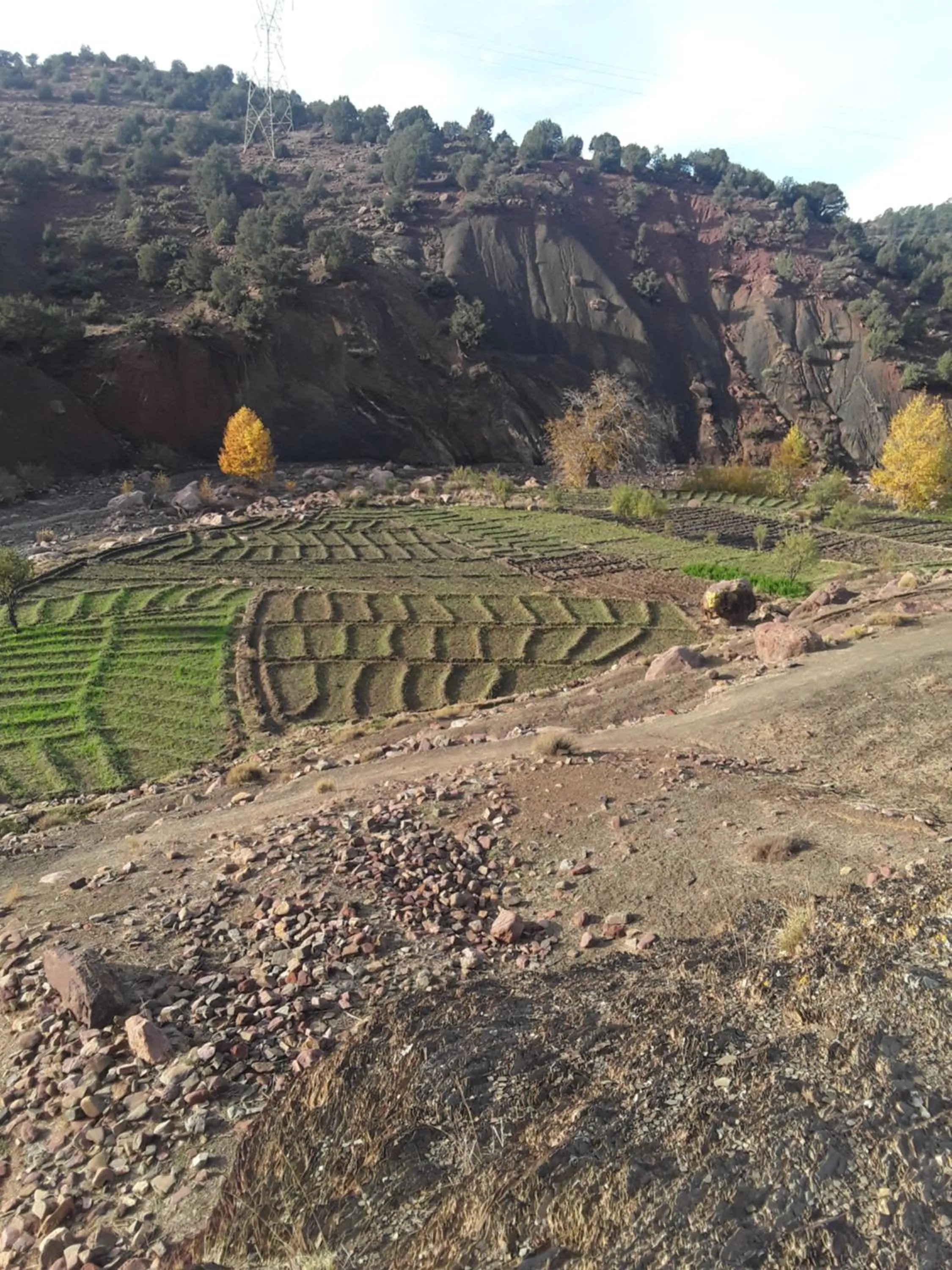 Auberge Restaurant Les Coquelicots
