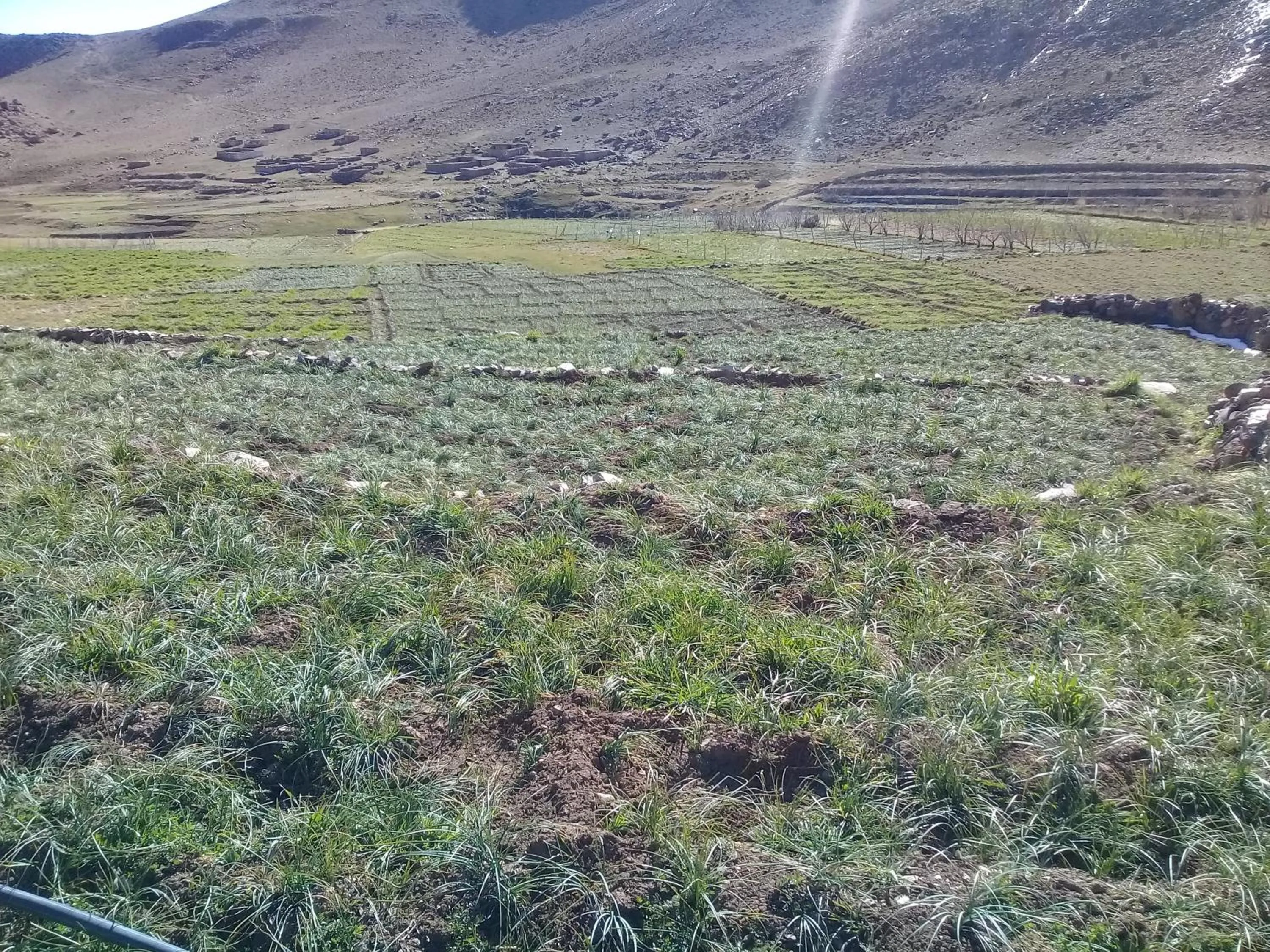 Auberge Restaurant Les Coquelicots