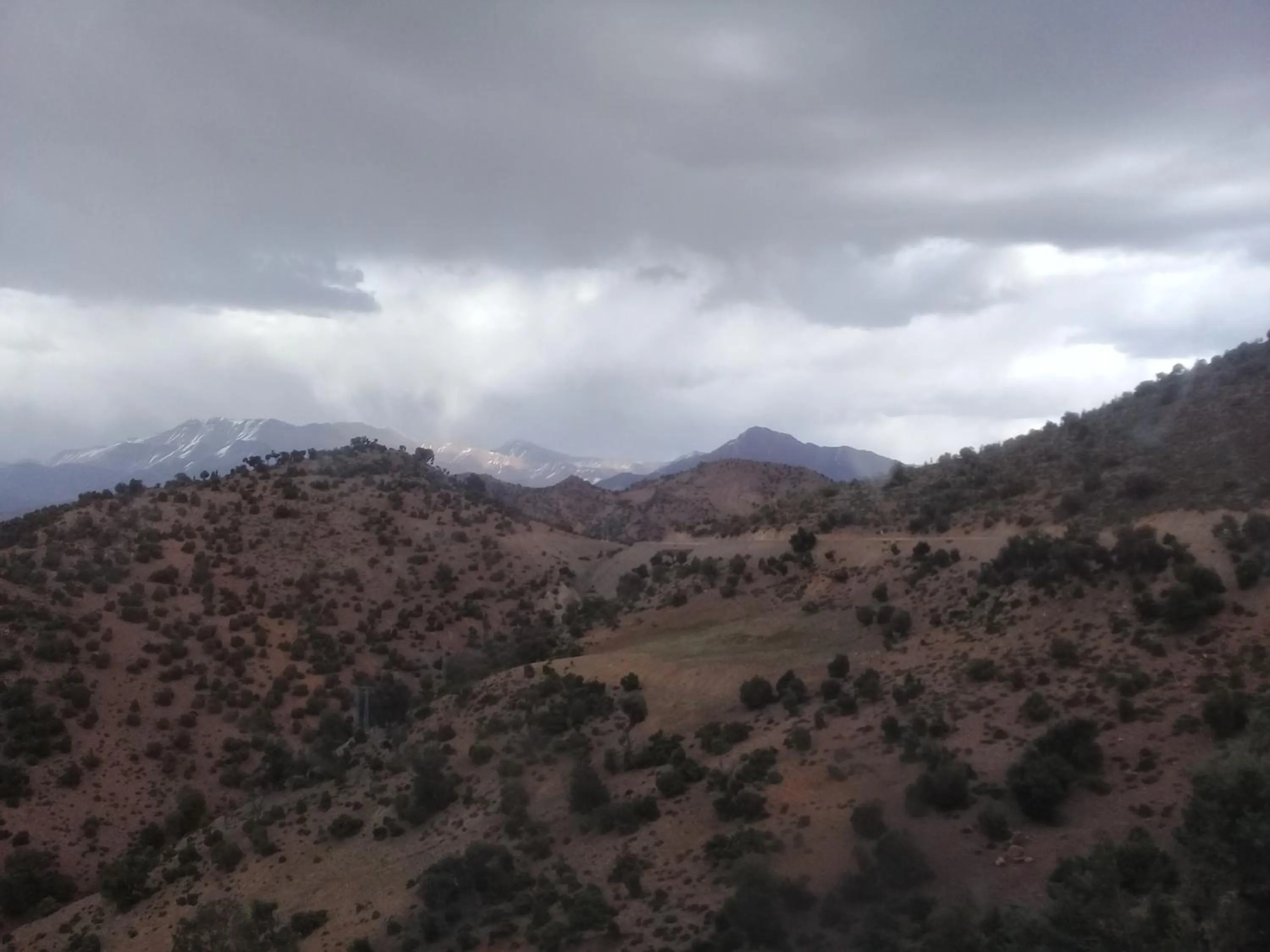 Auberge Restaurant Les Coquelicots