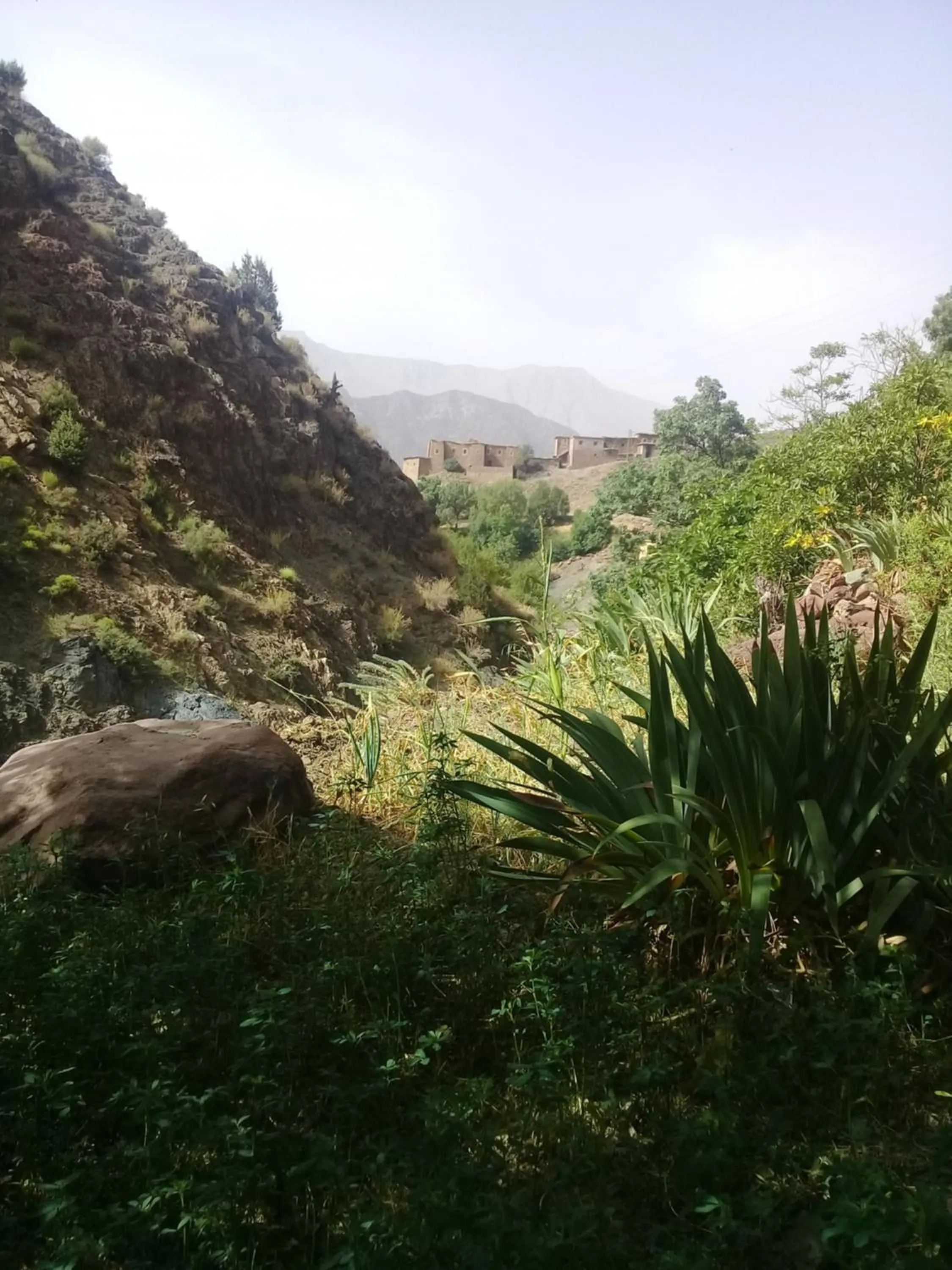 Auberge Restaurant Les Coquelicots