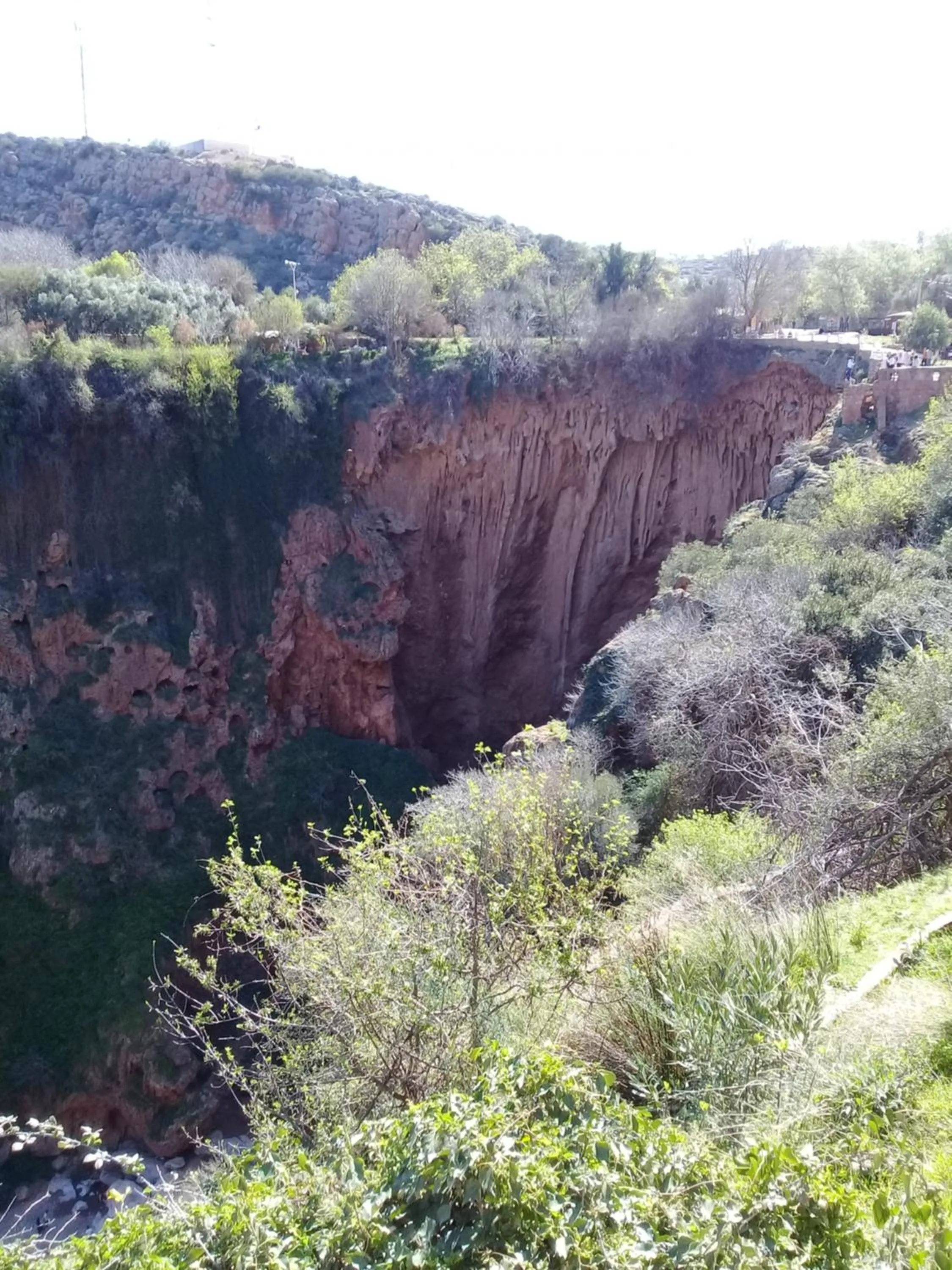 Auberge Restaurant Les Coquelicots