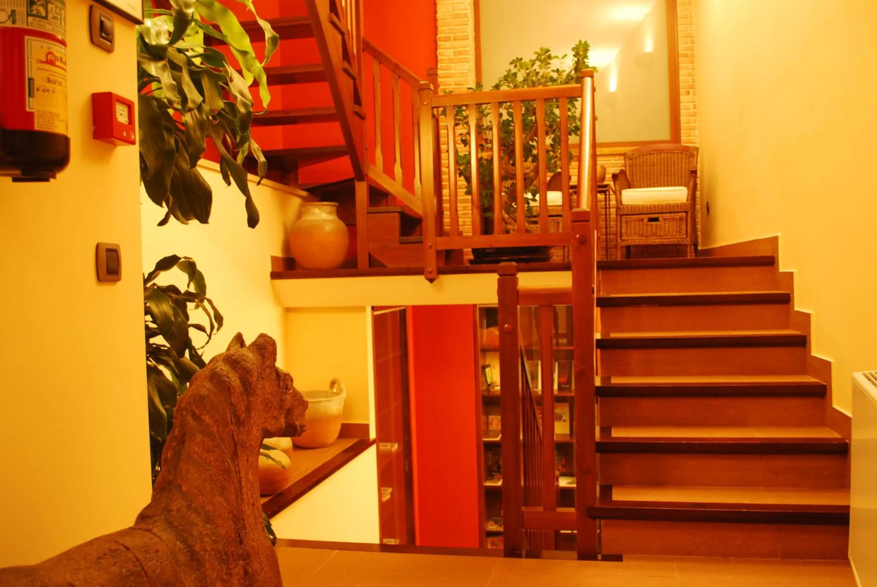 Area and facilities in Hotel Villa de Cretas