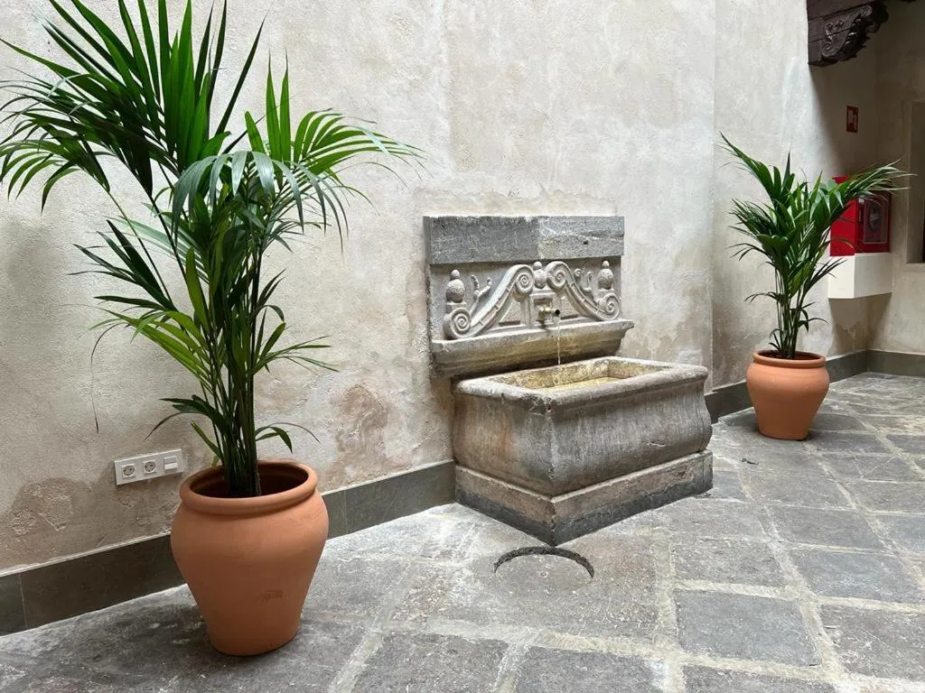 Patio in Hotel Mercader de Sedas by Maxi Hoteles