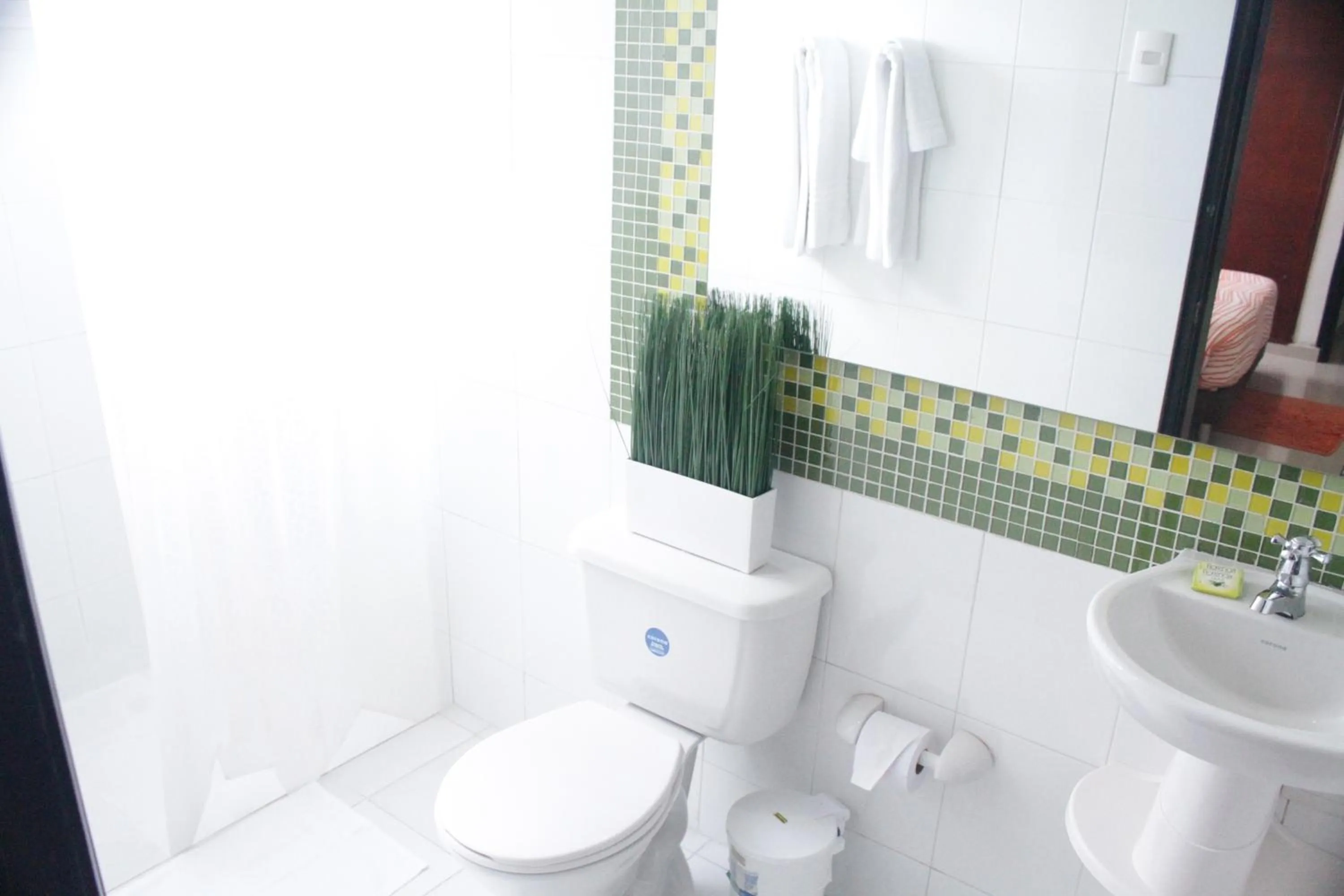 Toilet in Hotel Golden House