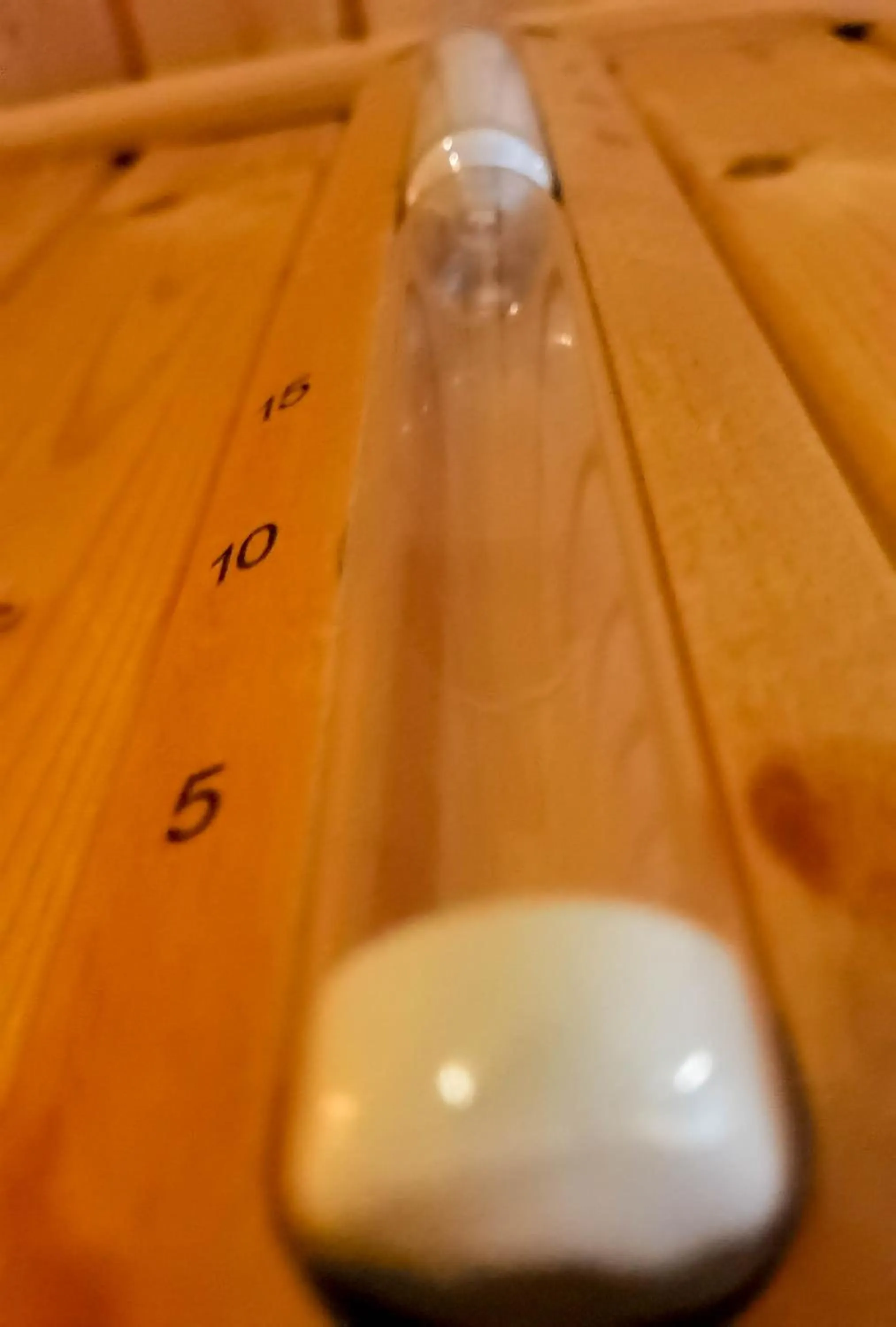 Sauna in Hotel Landhaus Zell am See