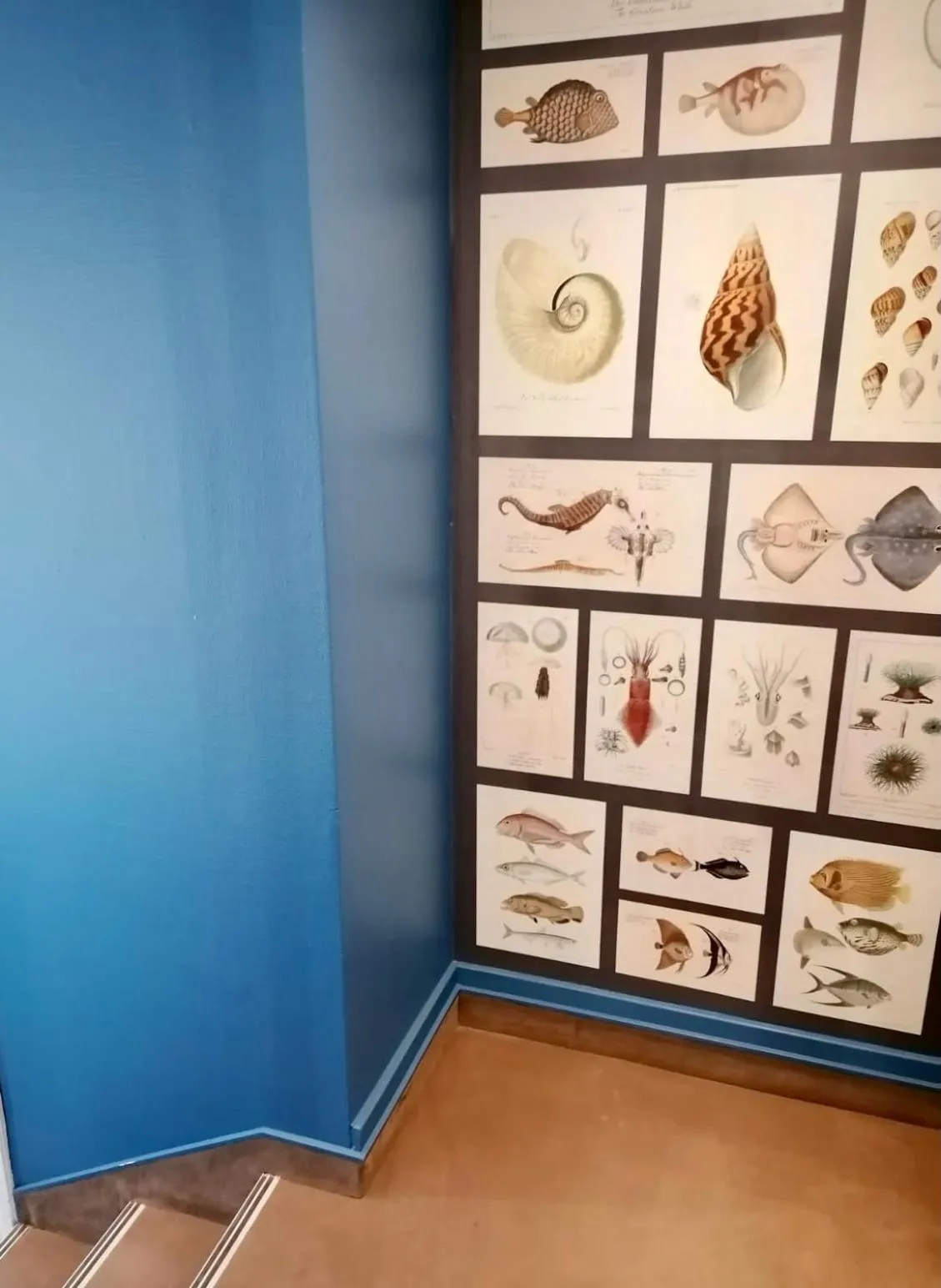 Property building in Hotel Le Petit Baigneur Palavas Plage