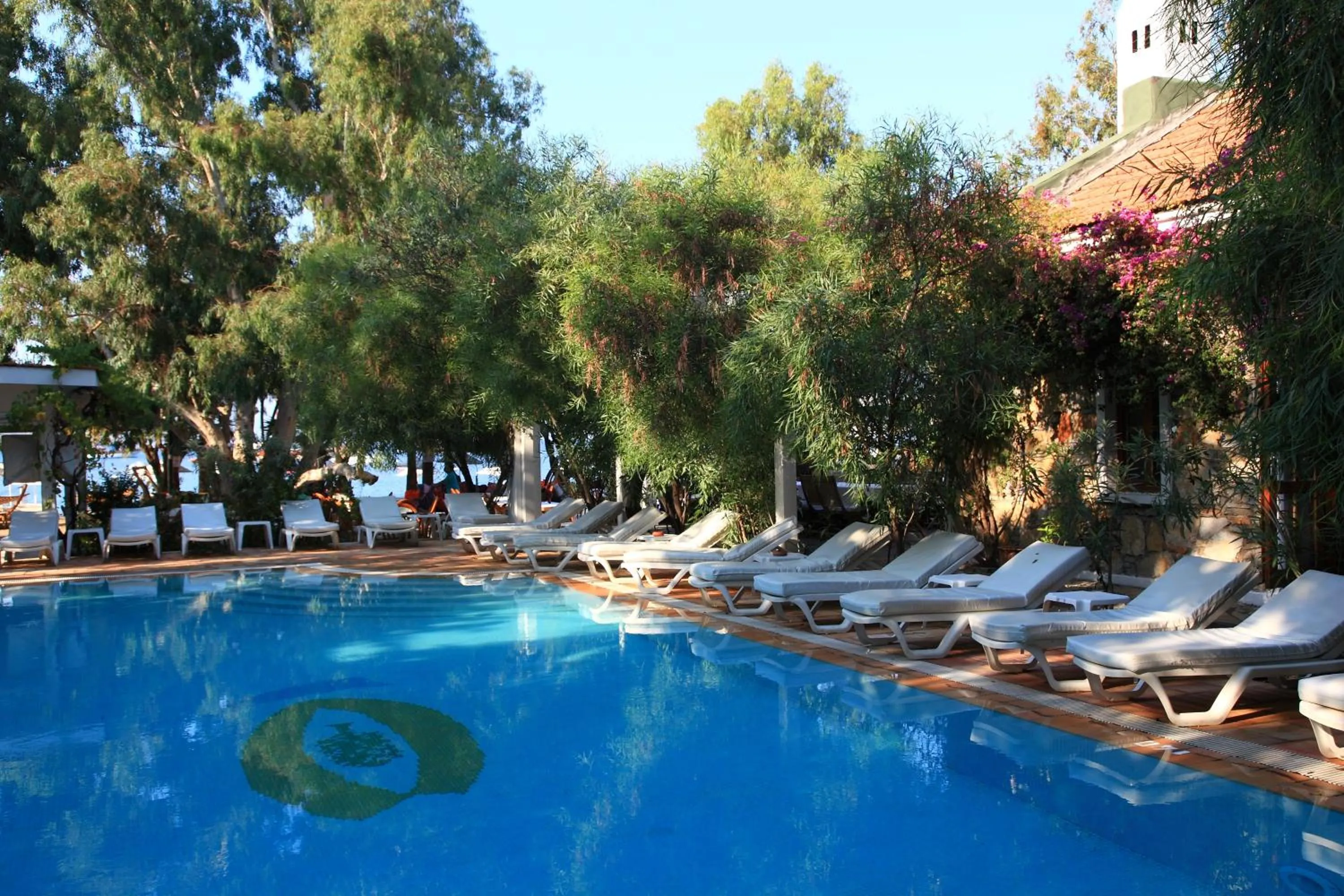 Swimming pool in Okaliptus Otel