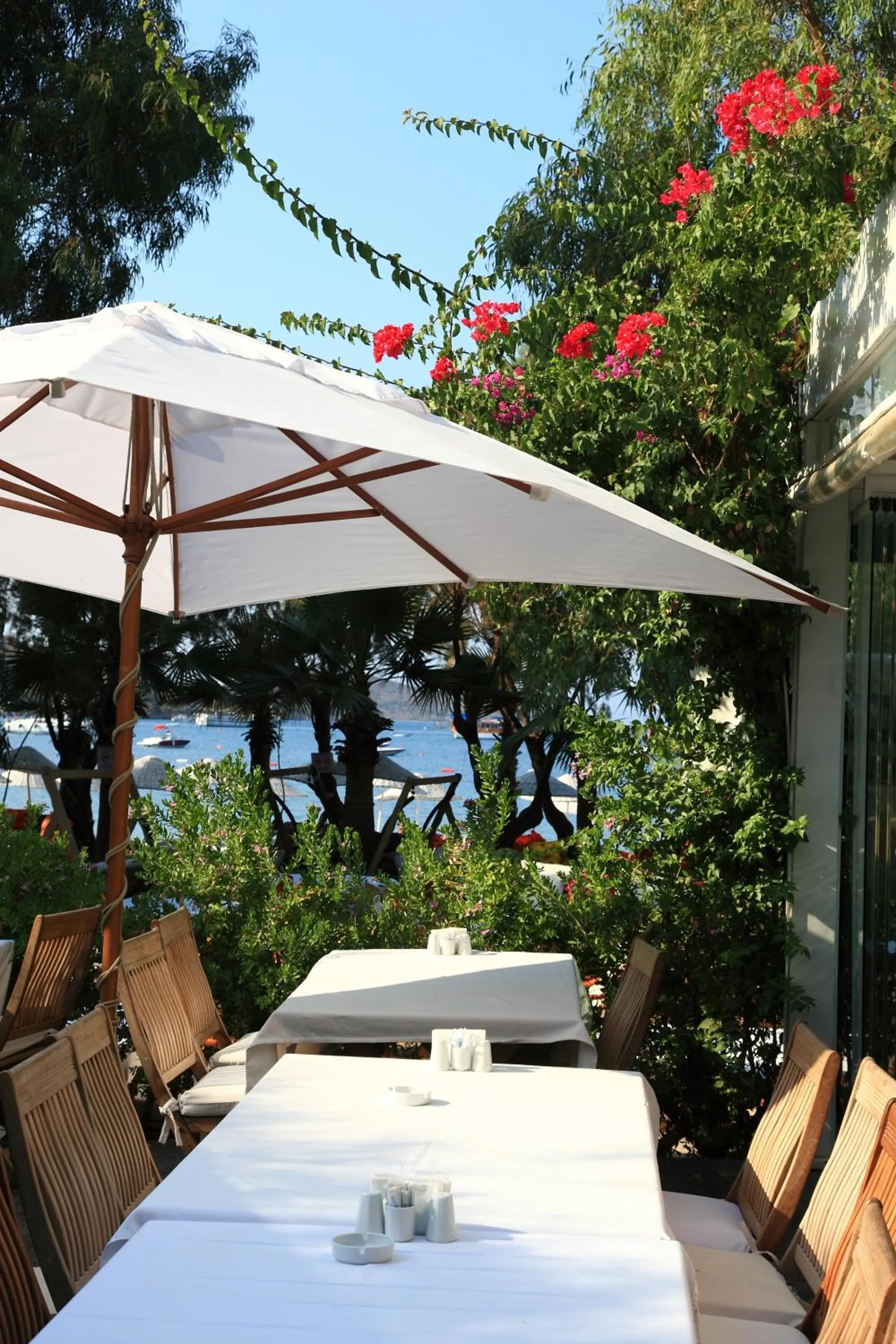 Food in Okaliptus Otel