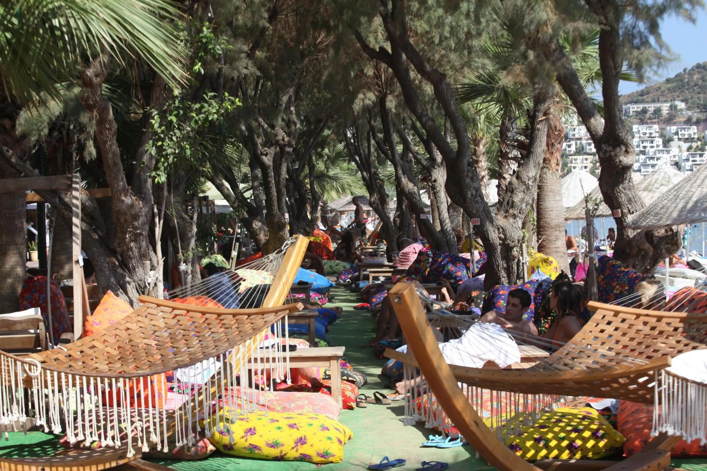 Garden in Okaliptus Otel