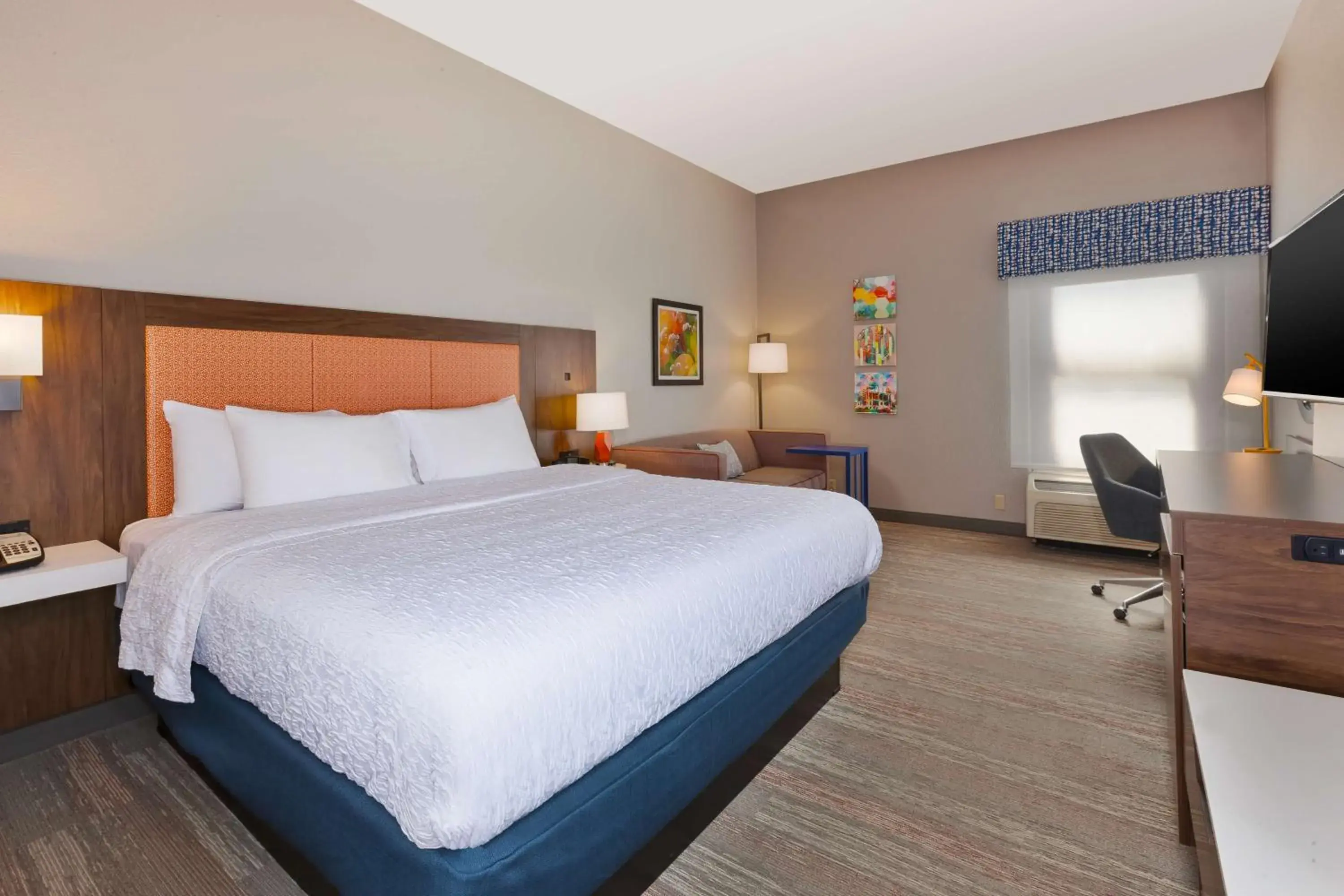 King Room with Accessible Tub - Mobility and Hearing Access/Non-Smoking in Hampton Inn Princeton King Room with Accessible Tub - Mobility and Hearing Access/Non-Smoking in Hampton Inn Princeton