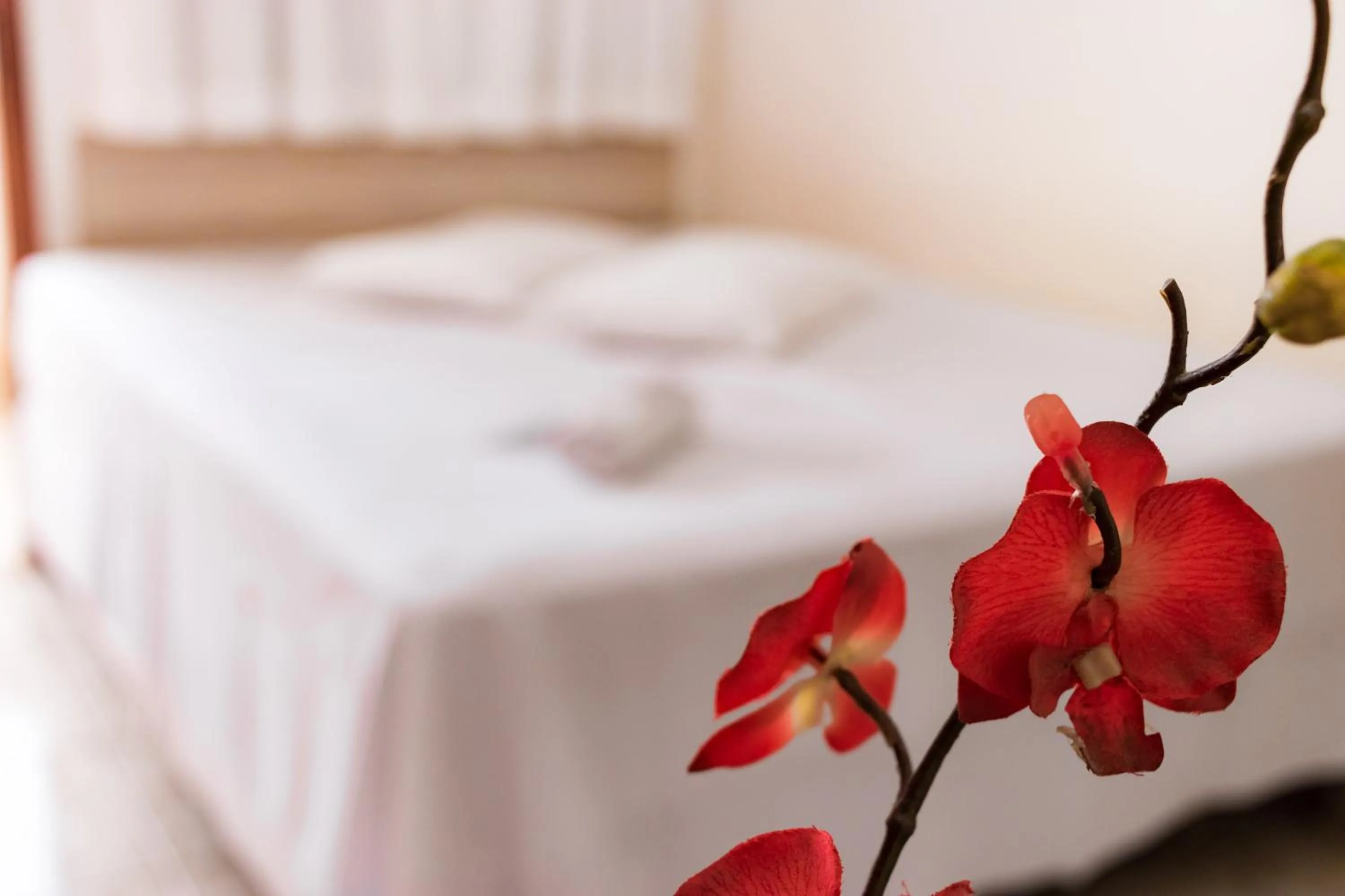 Bed in Turis Hotel Centro