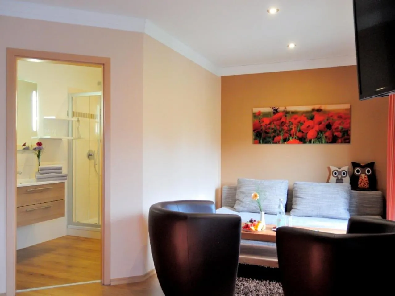 TV and multimedia in Pension Silberbauer