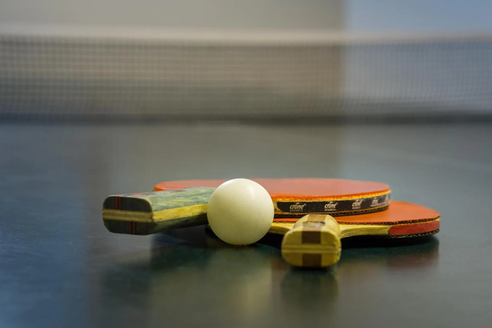 Table tennis in Pension Silberbauer