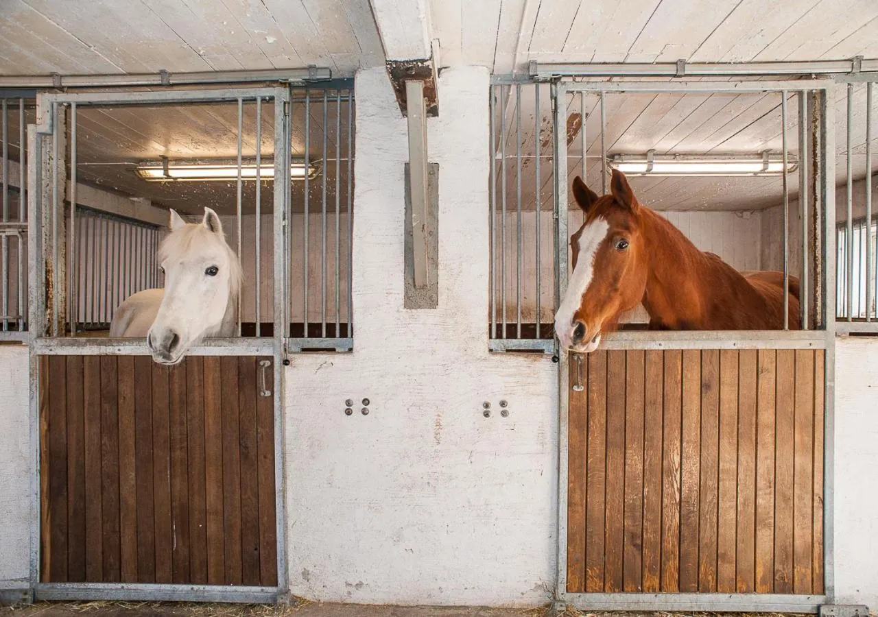 Hunseröds Bed & Breakfast