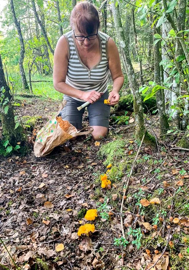 Hunseröds Bed & Breakfast