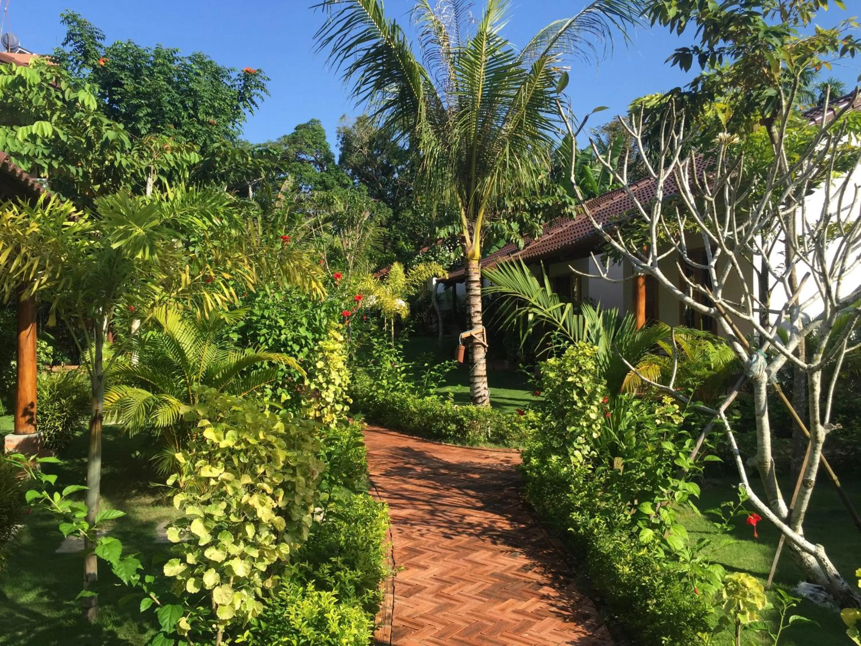 Garden in La Mer Resort, Phú Quốc