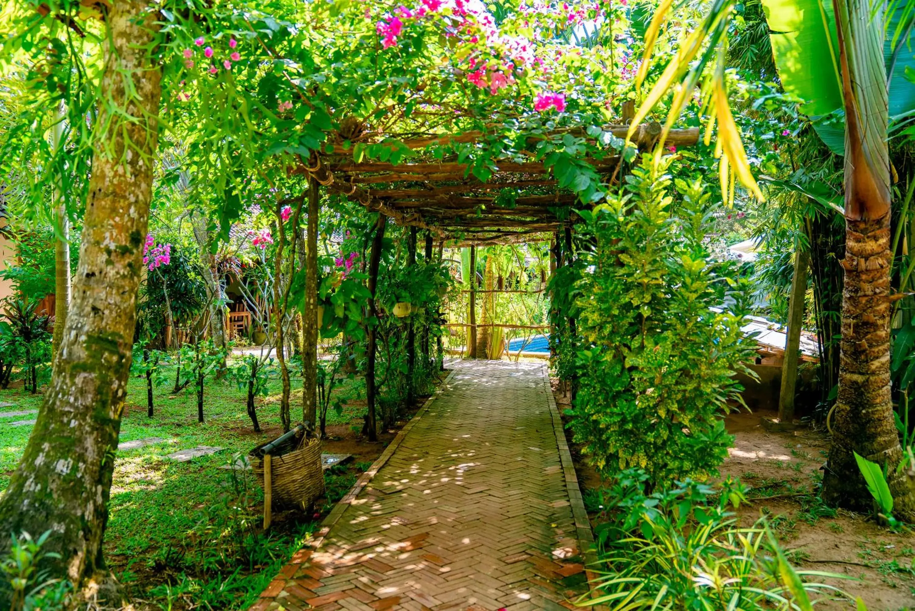 Garden view in La Mer Resort, Phú Quốc Garden view in La Mer Resort, Phú Quốc