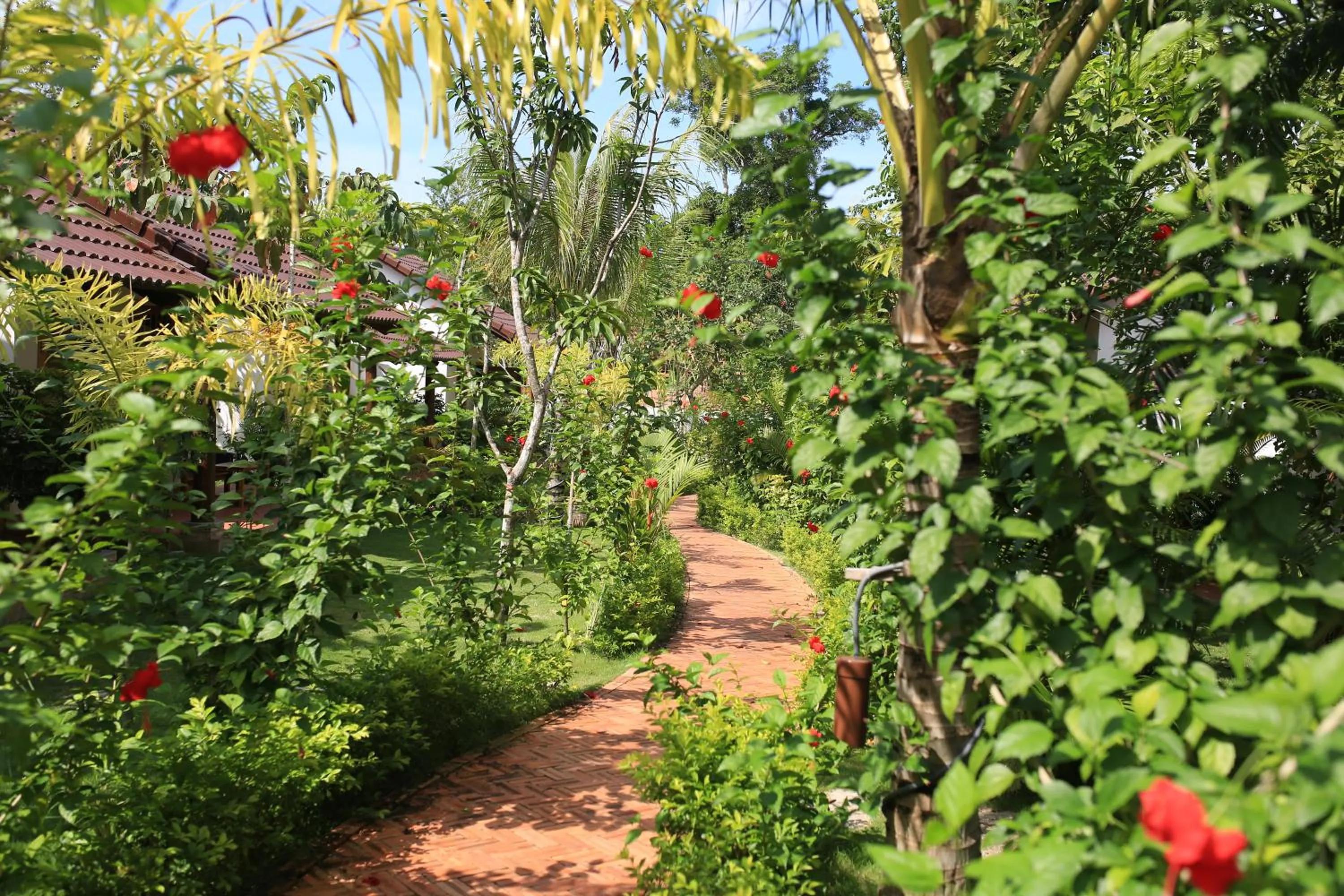 Garden in La Mer Resort, Phú Quốc