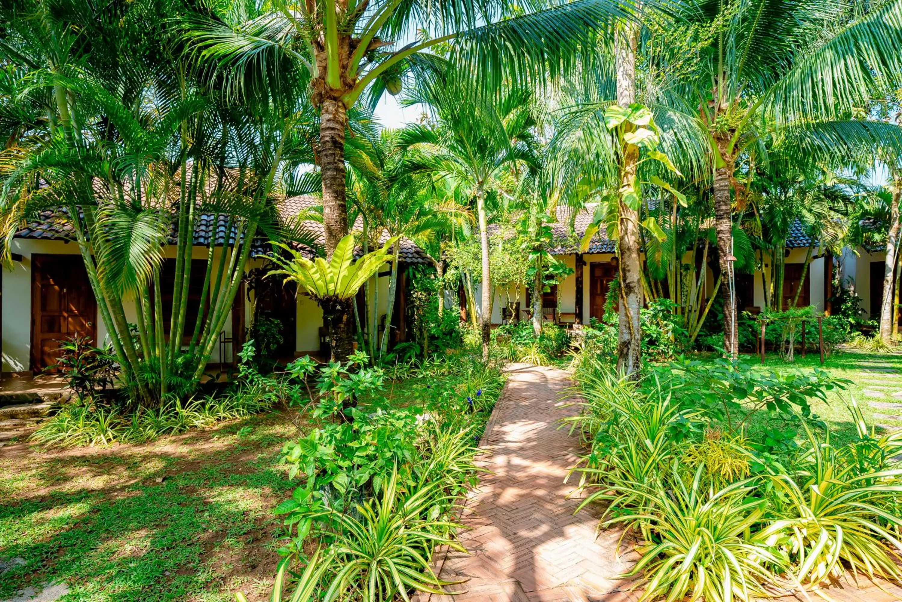 Garden in La Mer Resort, Phú Quốc