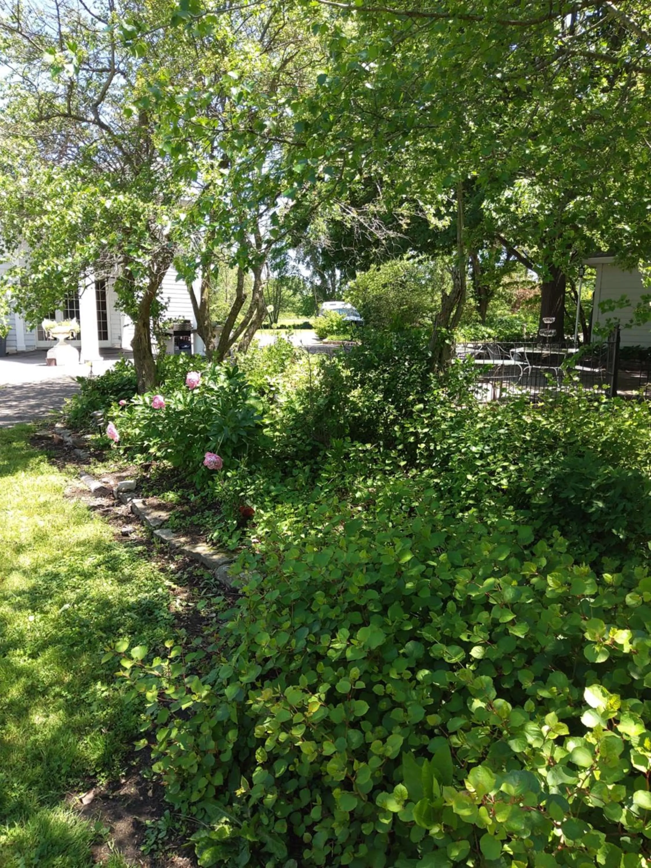 Garden in Inntiquity, A Country Inn