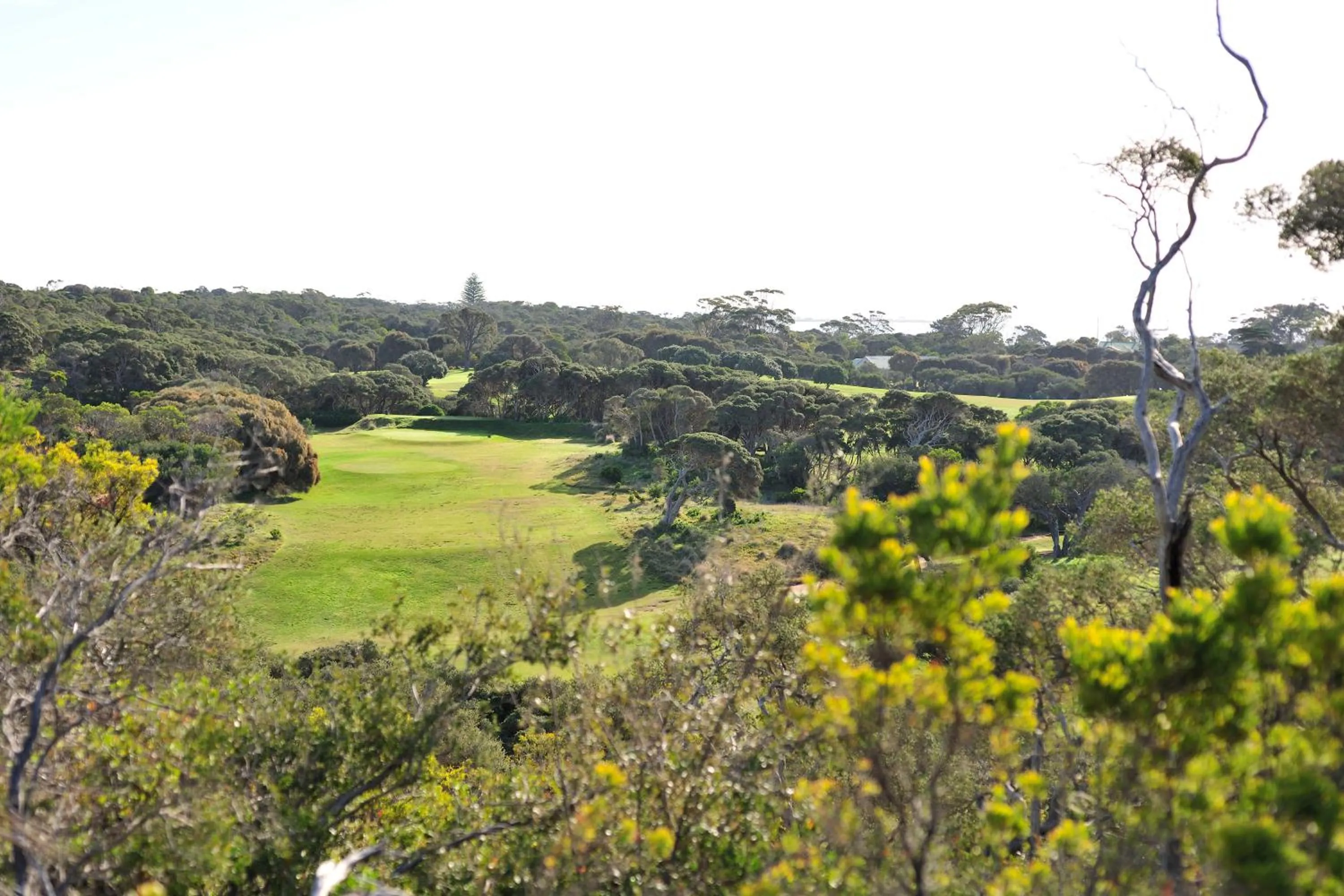 Day in Mercure Portsea & Portsea Golf Club
