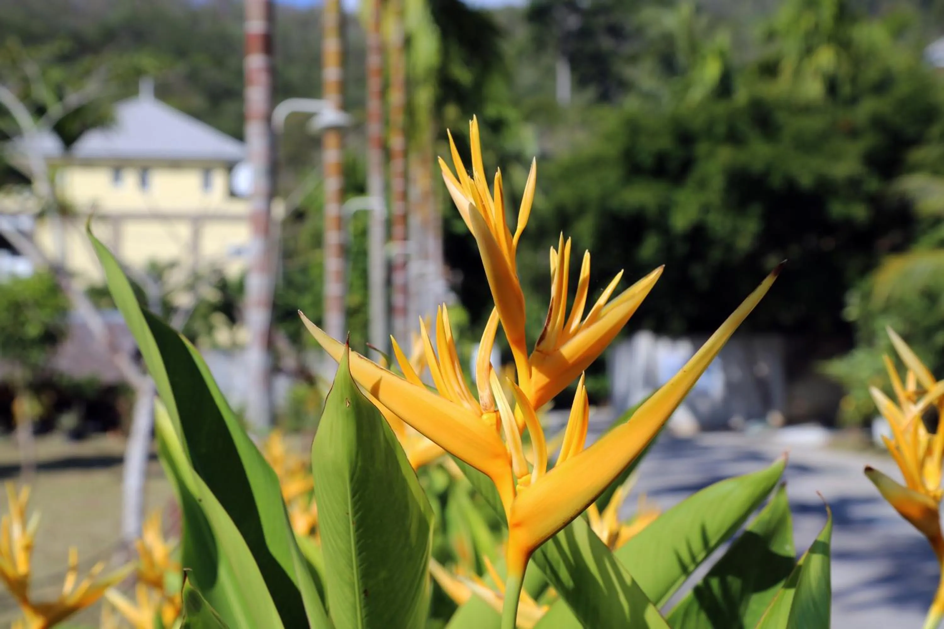 Area and facilities in Naka Resort