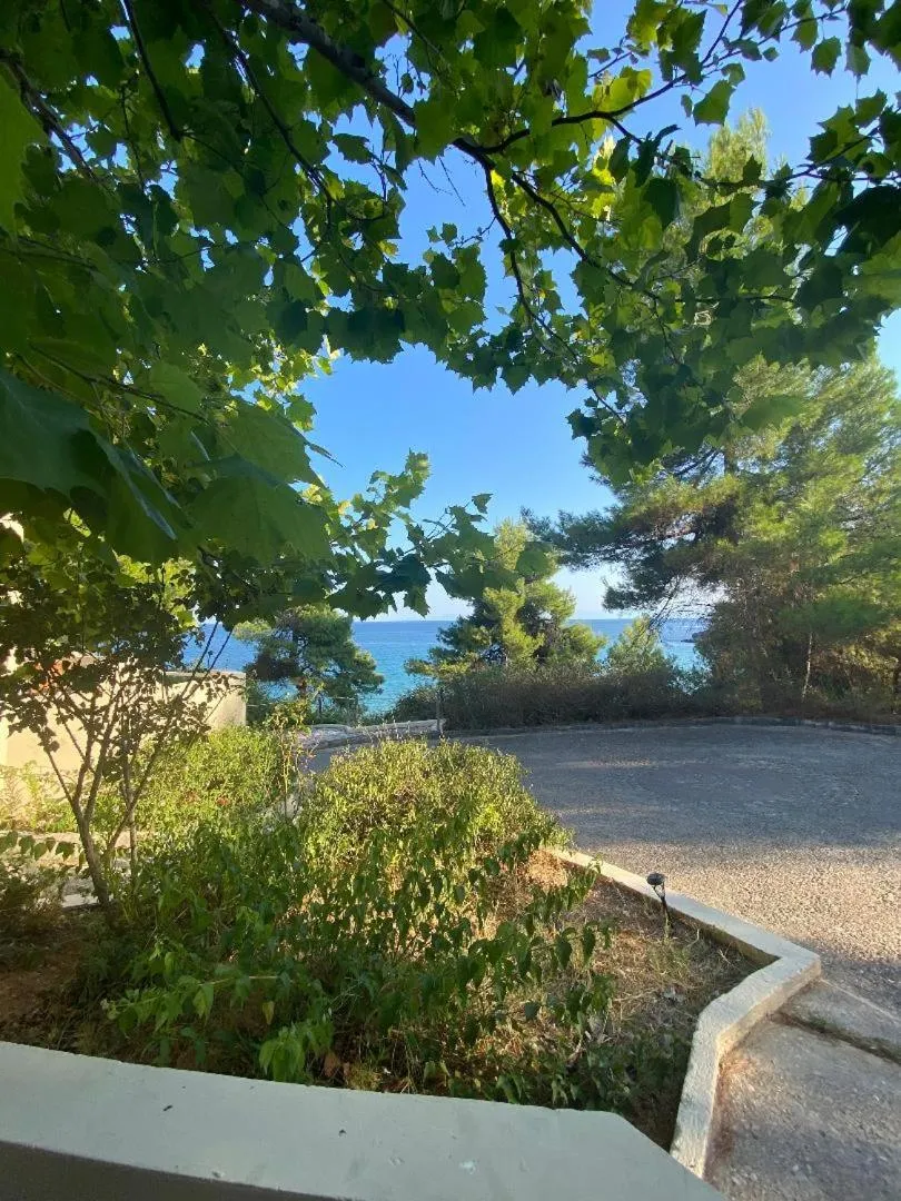 Garden in Alonissos Beach Bungalows And Suites Hotel