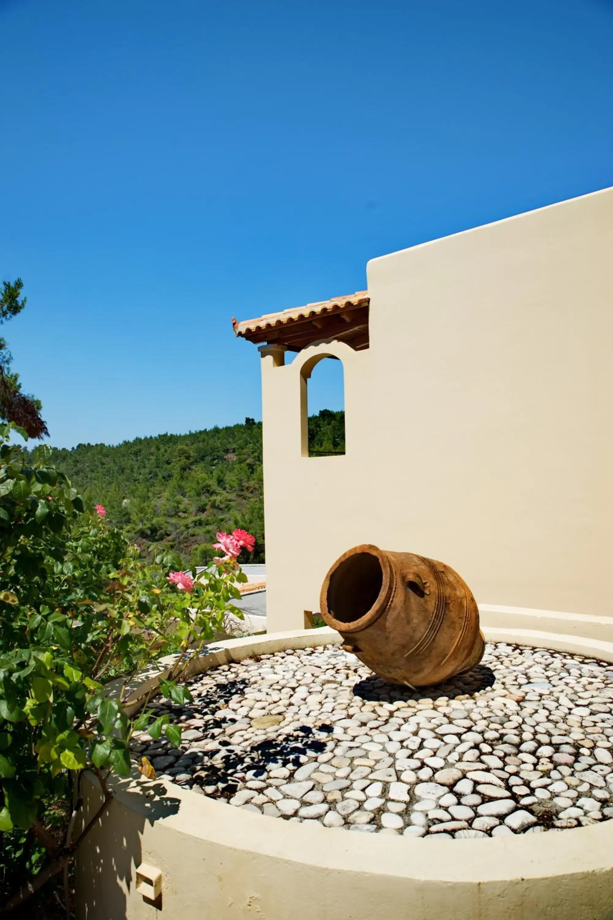 Garden view in Alonissos Beach Bungalows And Suites Hotel Garden view in Alonissos Beach Bungalows And Suites Hotel