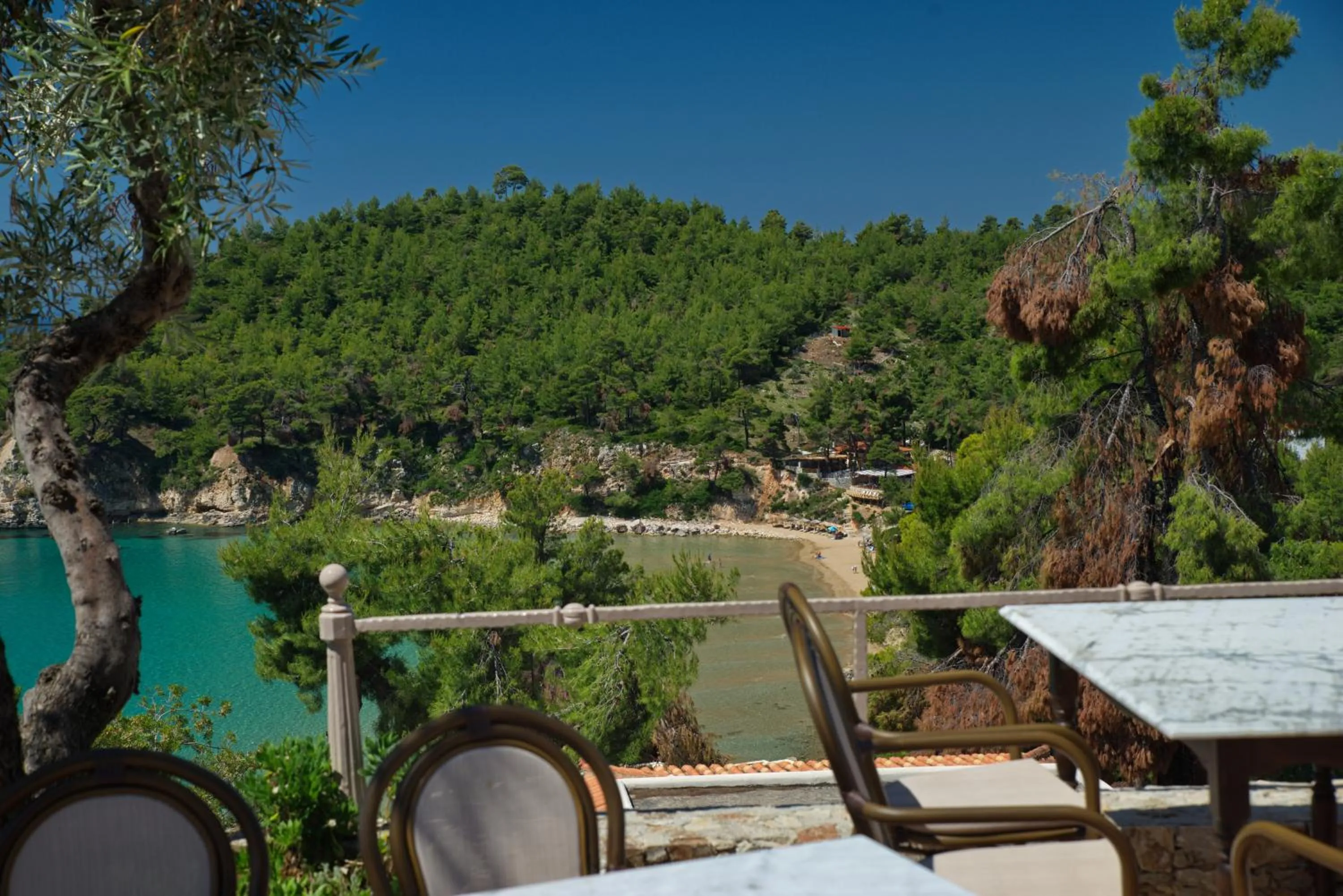 View (from property/room) in Alonissos Beach Bungalows And Suites Hotel