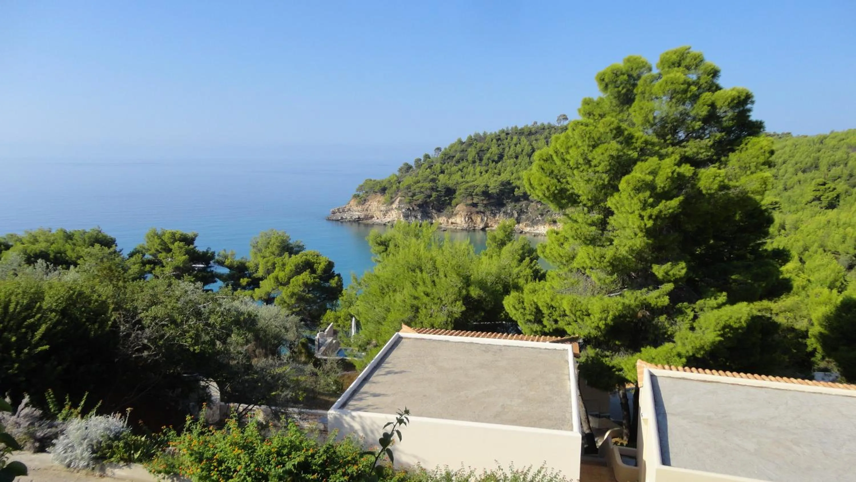 Garden in Alonissos Beach Bungalows And Suites Hotel
