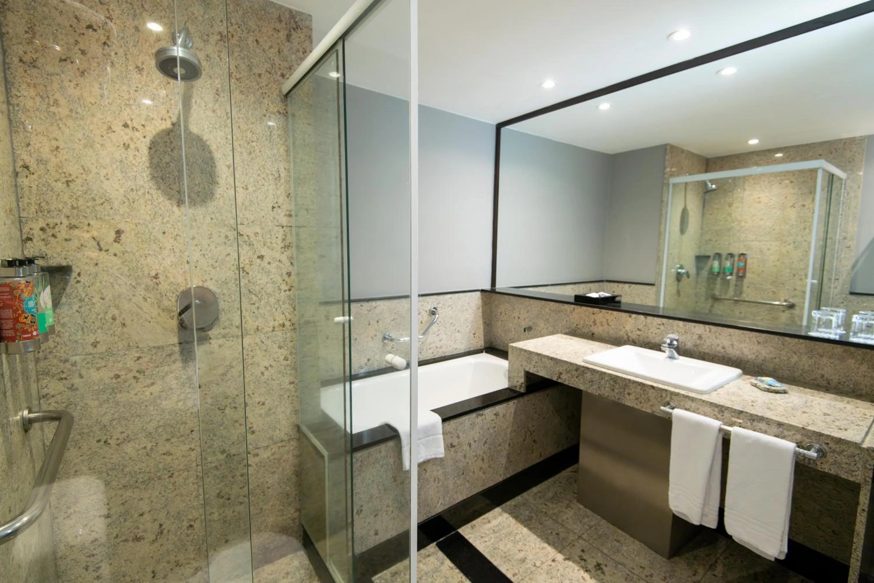 Pullman Sao Paulo Vila Olimpia