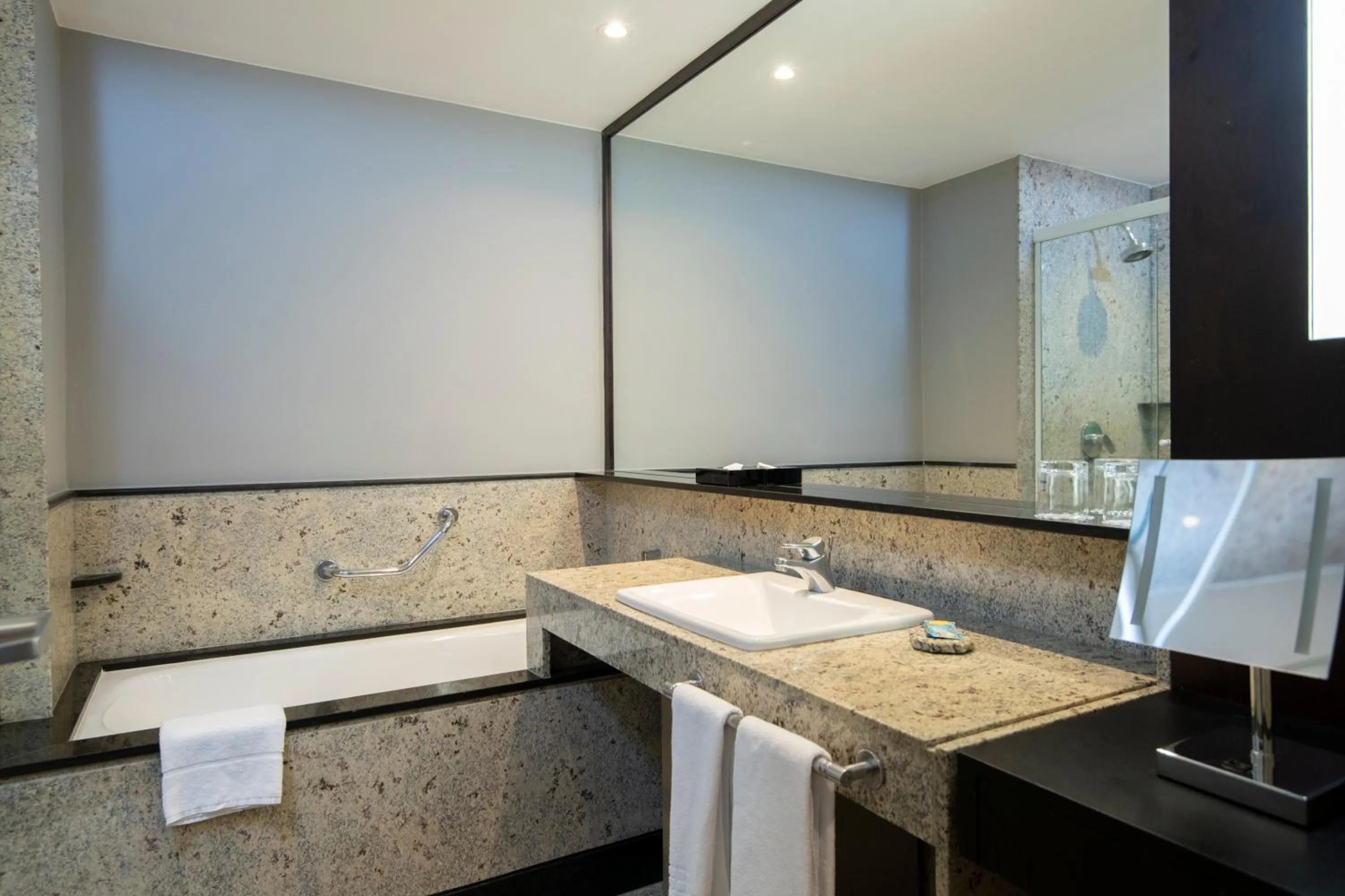 Pullman Sao Paulo Vila Olimpia