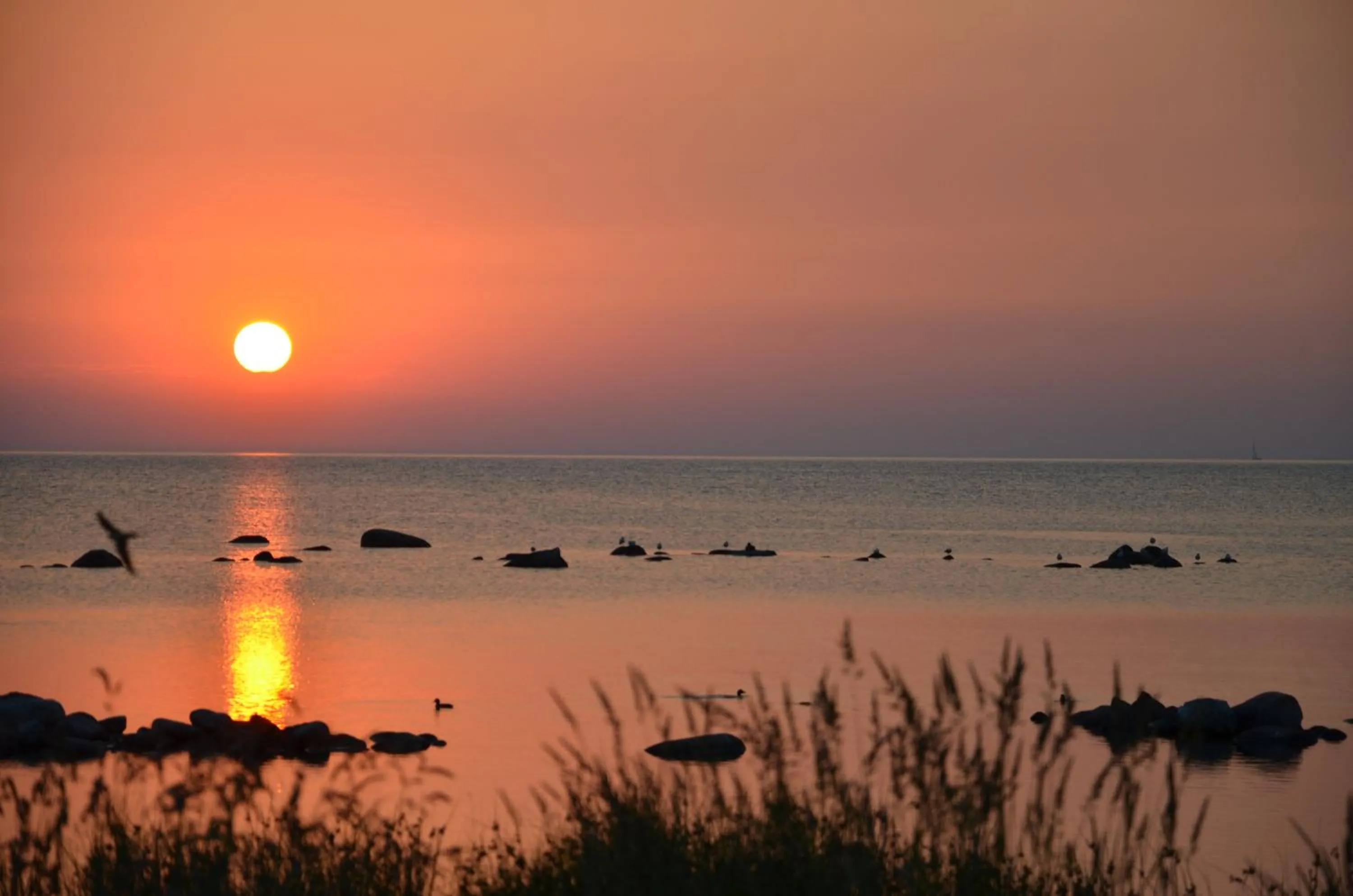 View (from property/room) in Visby Strandby