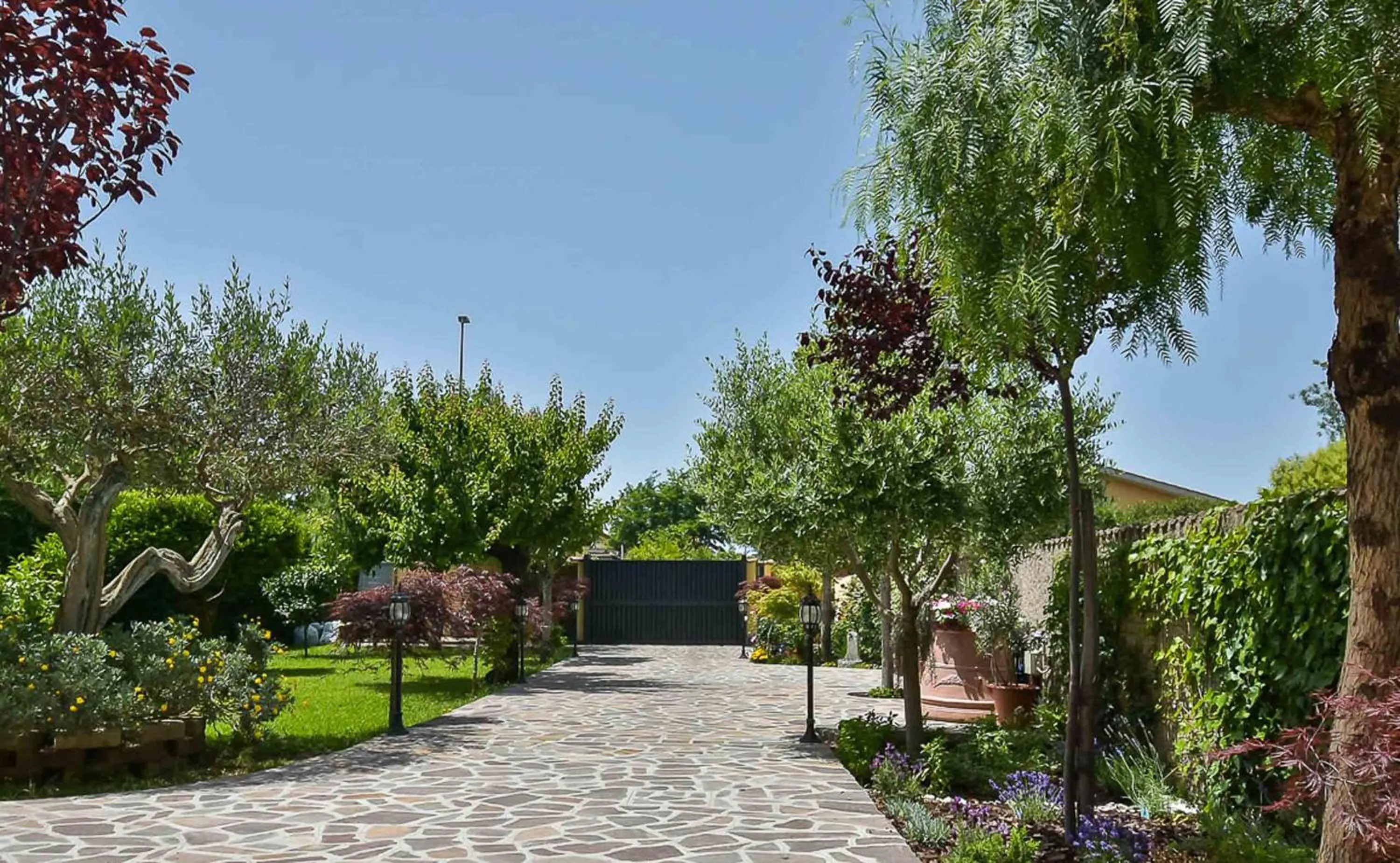 Garden in A Casa di Titty