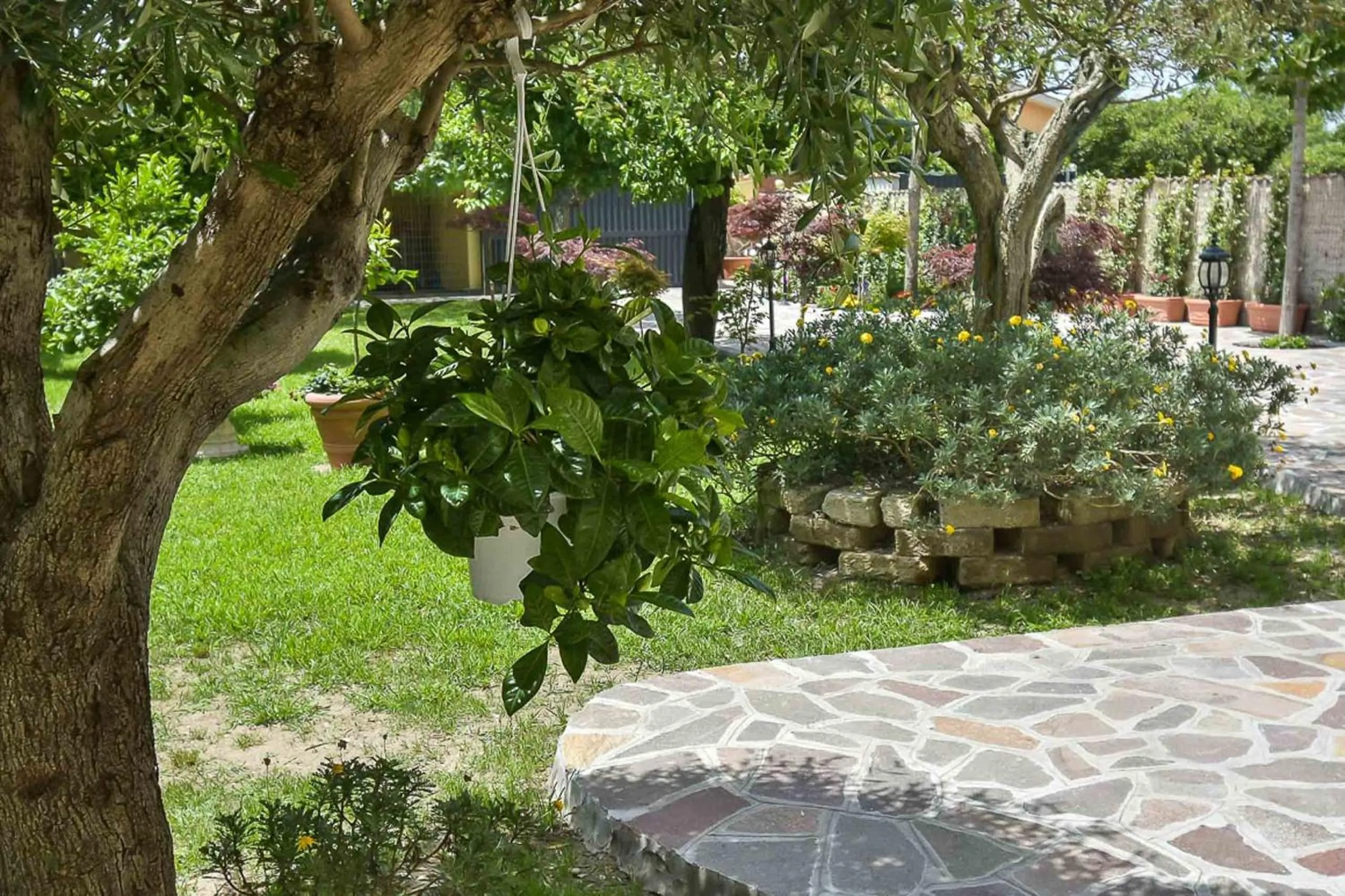 Garden in A Casa di Titty