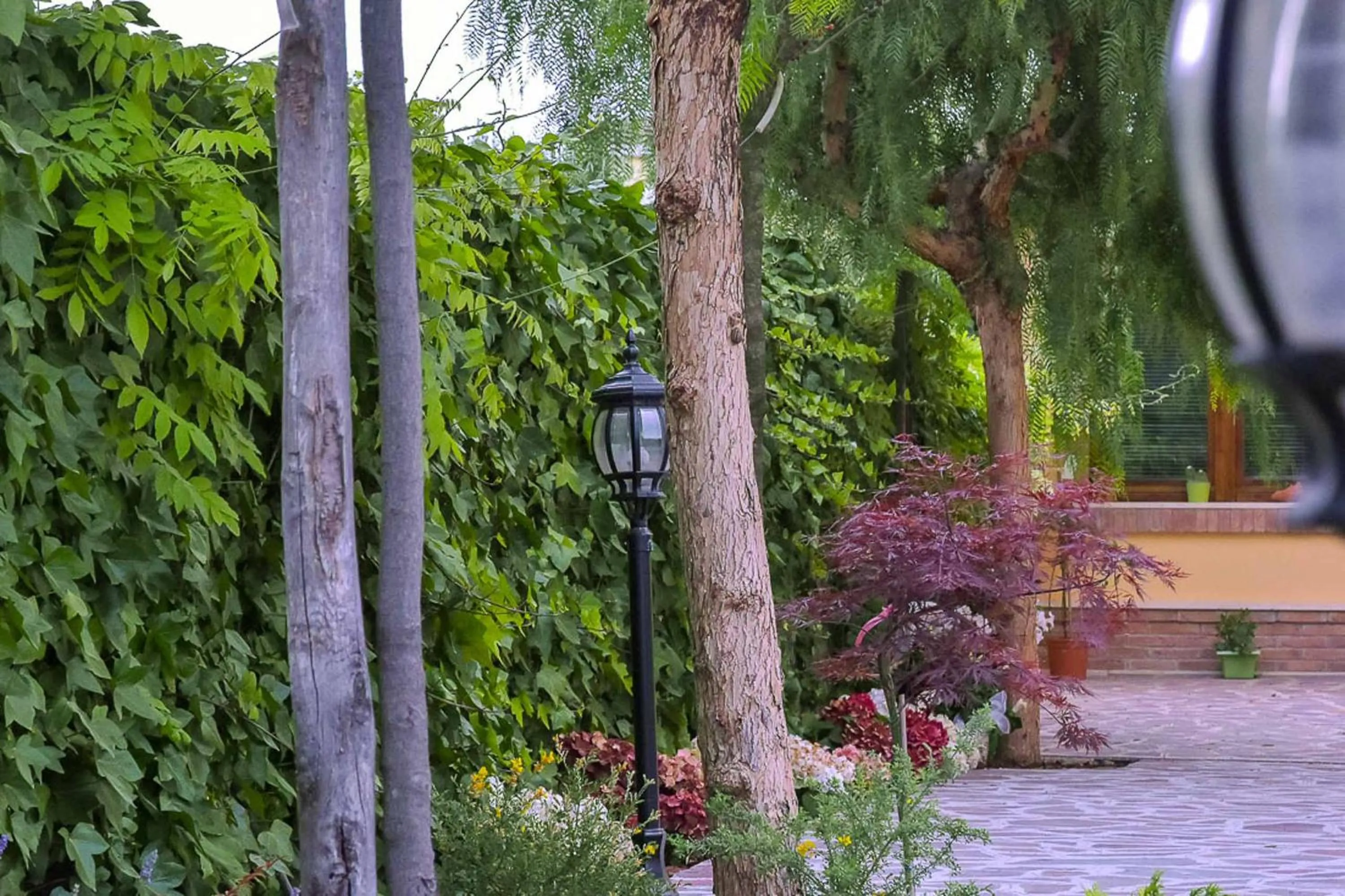 Garden in A Casa di Titty