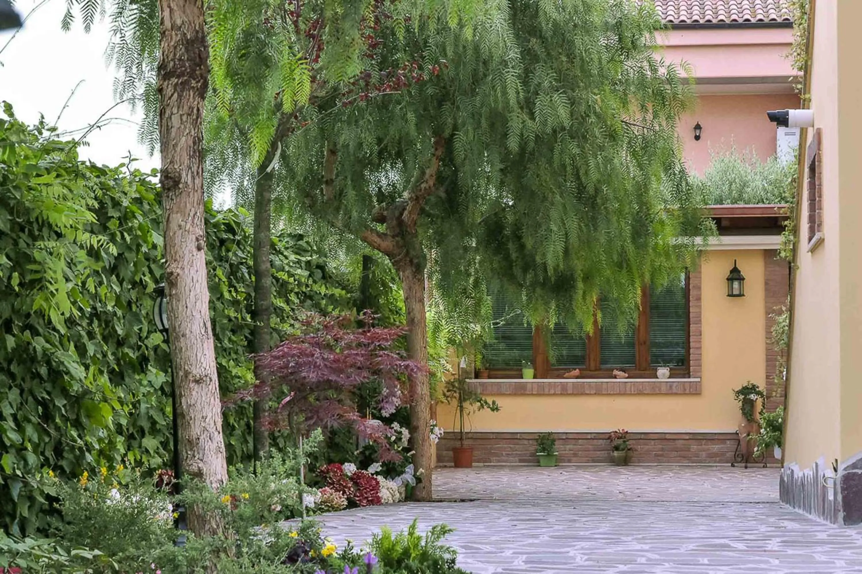 Garden in A Casa di Titty