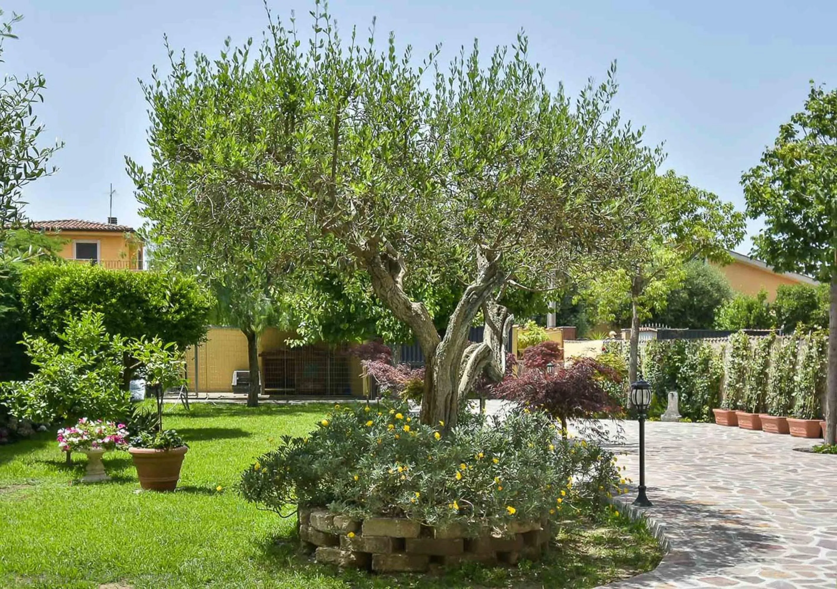 Garden in A Casa di Titty