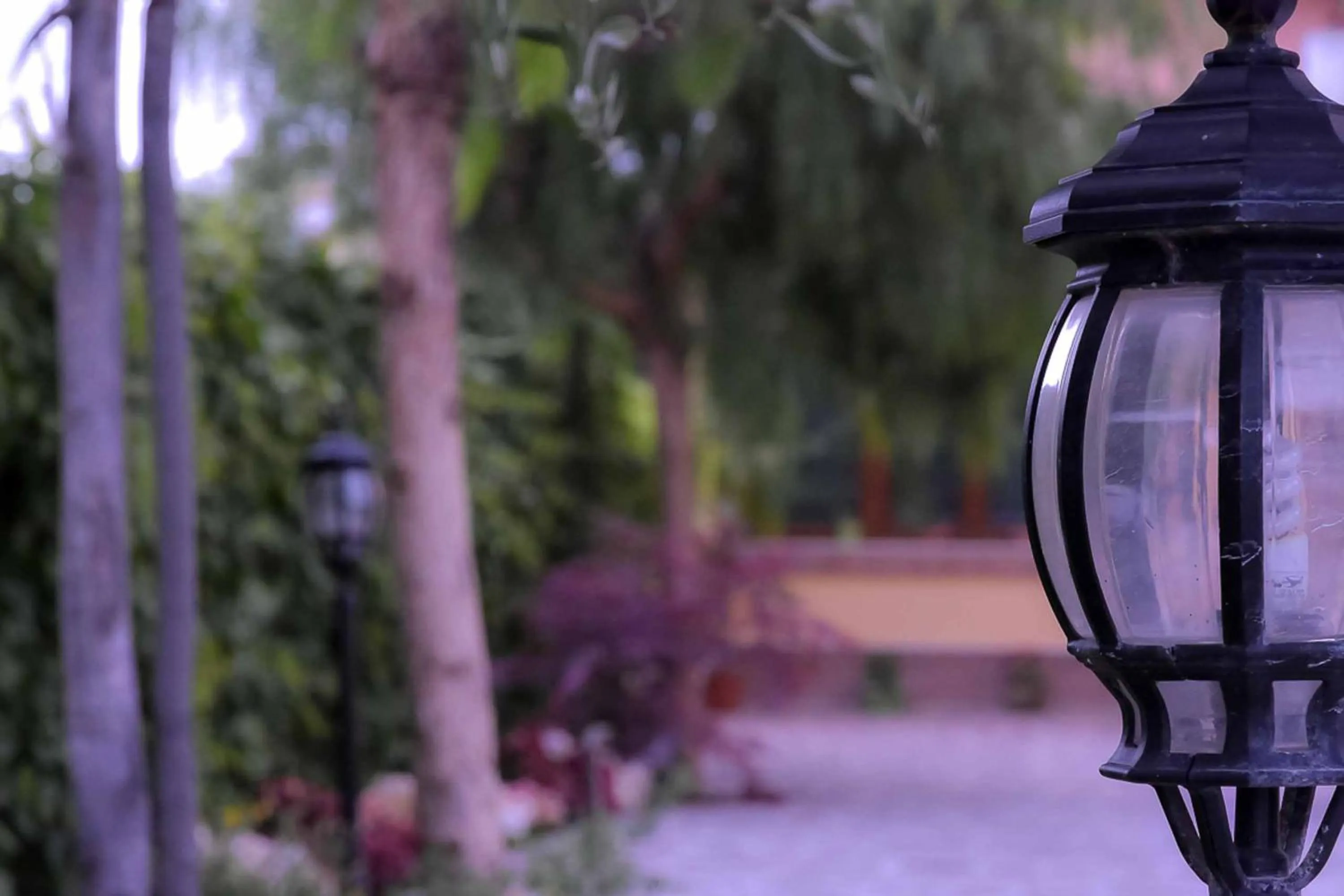 Decorative detail in A Casa di Titty