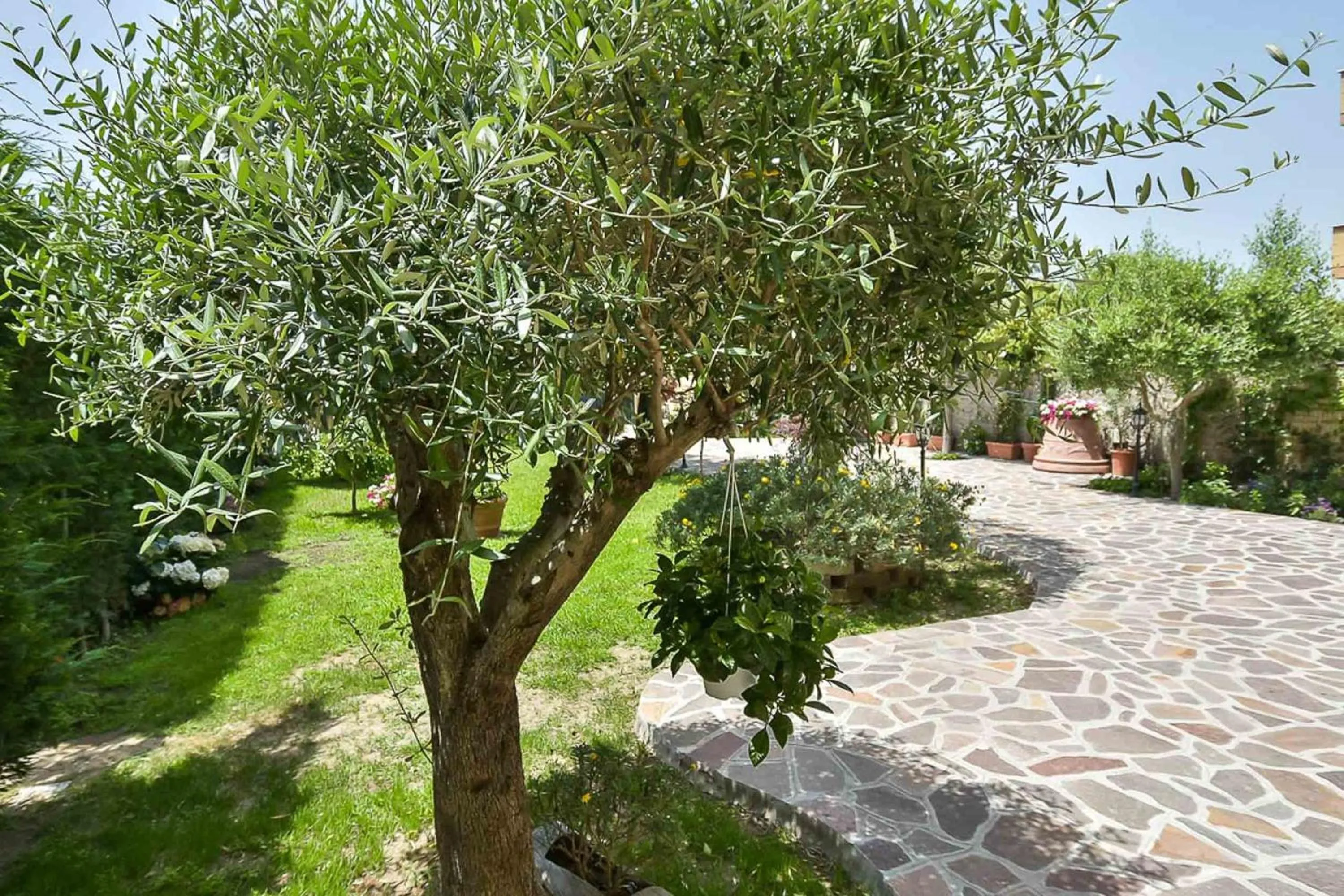 Garden in A Casa di Titty