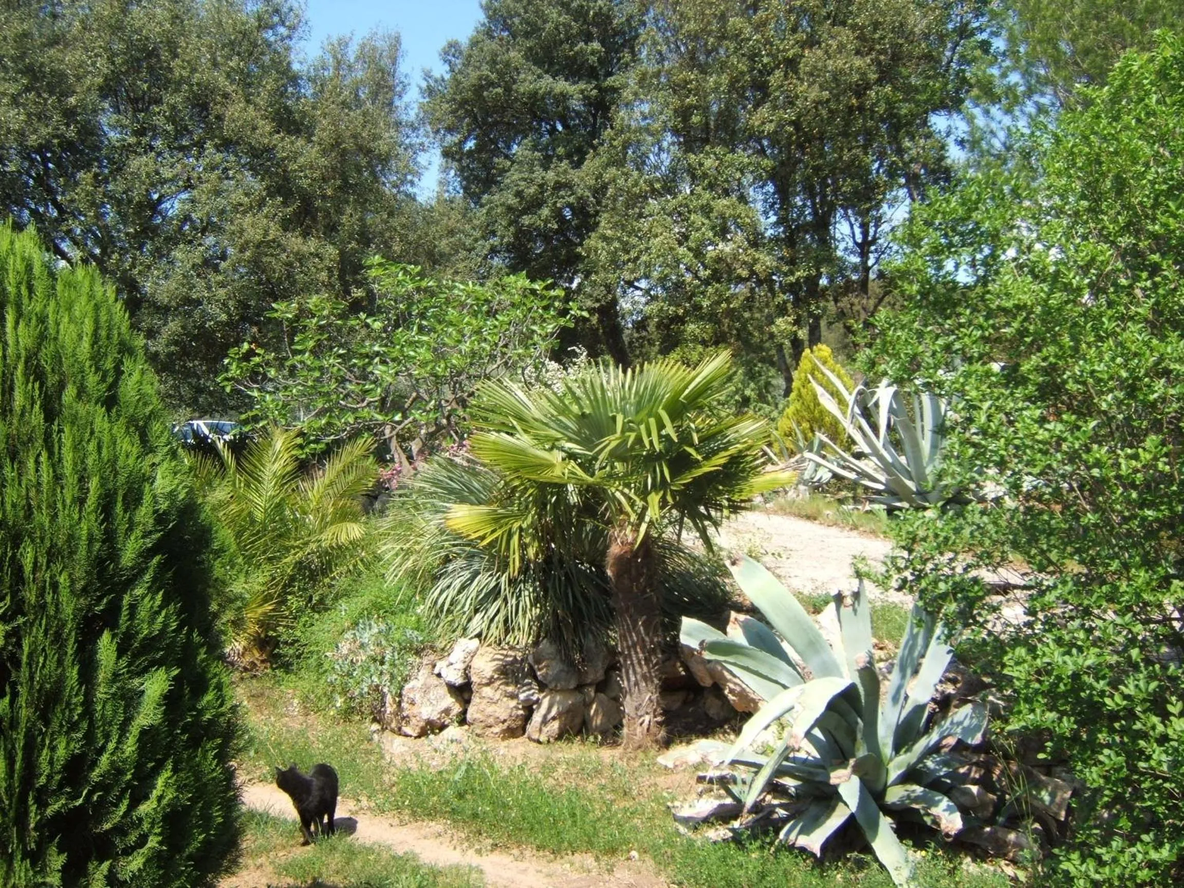 Garden view in La Radassière