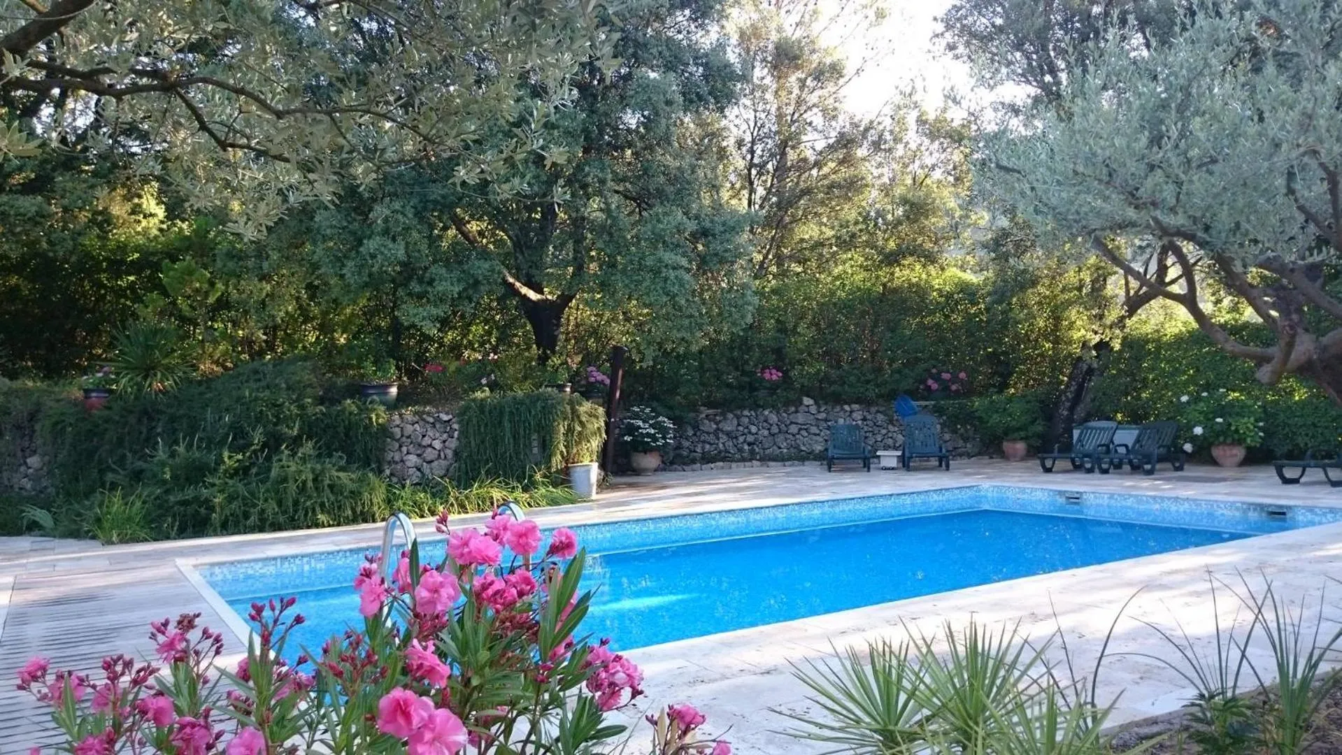 Swimming pool in La Radassière