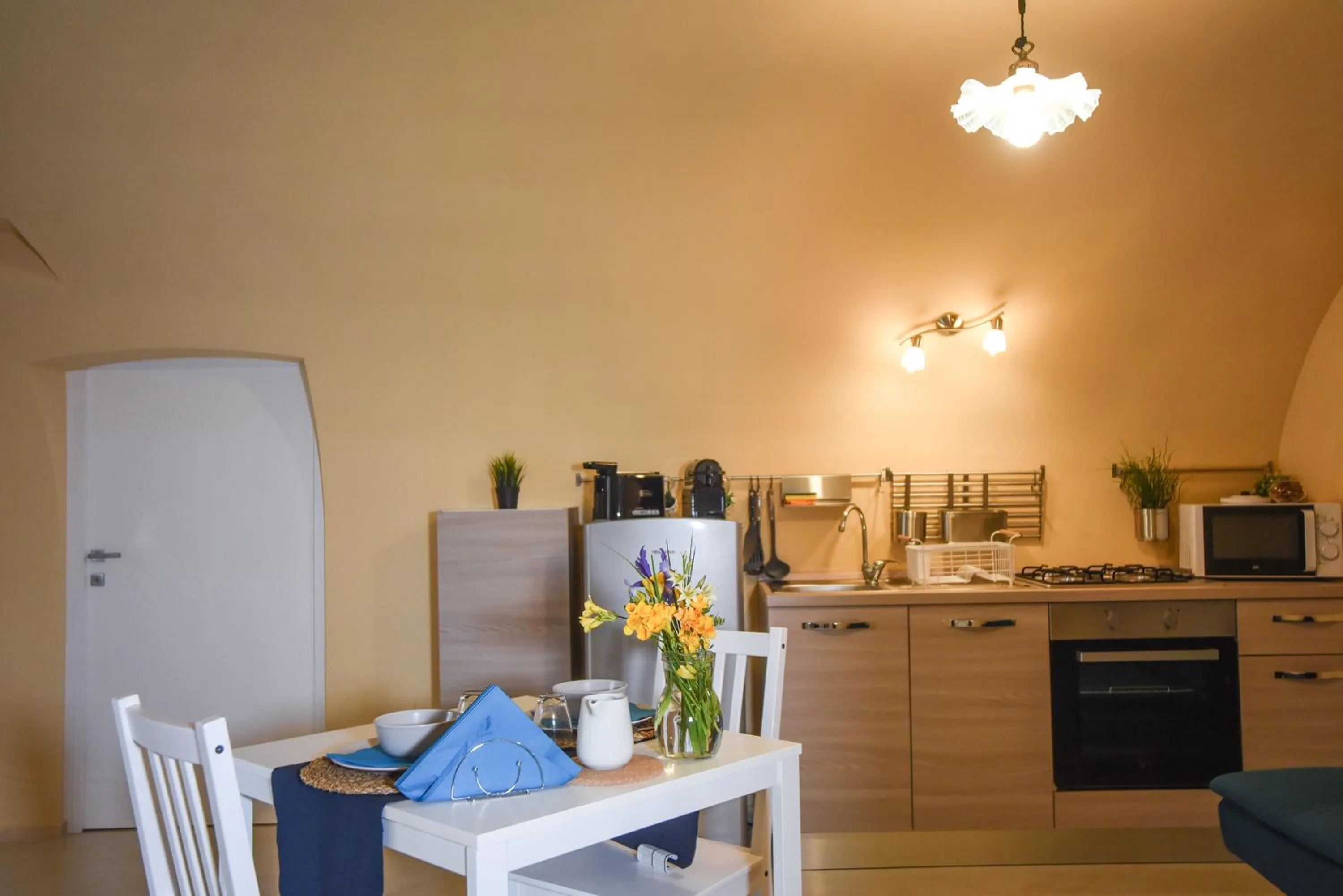 Kitchen or kitchenette in KAPSOTT B&B