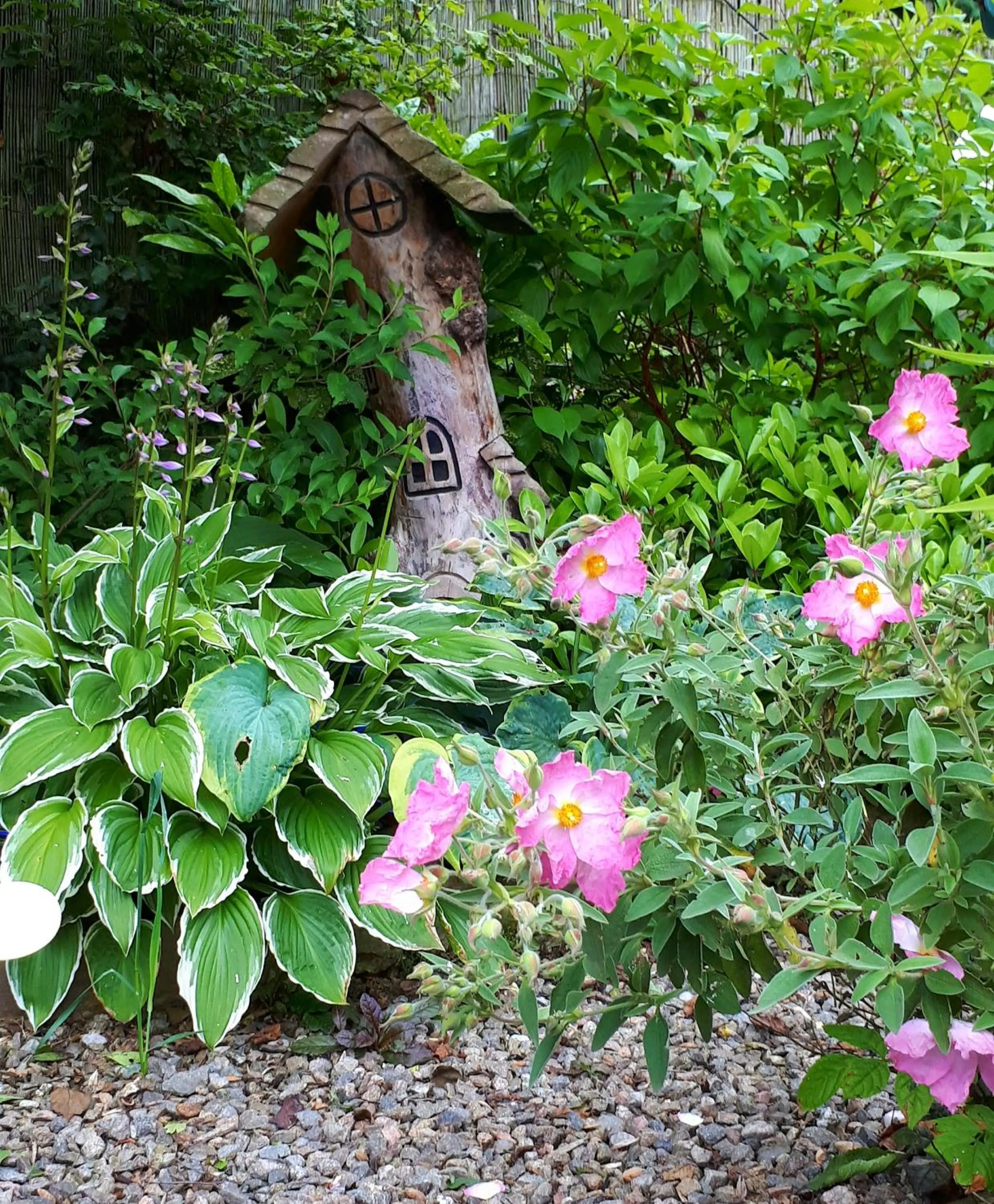 Garden in Lycia Rooms +