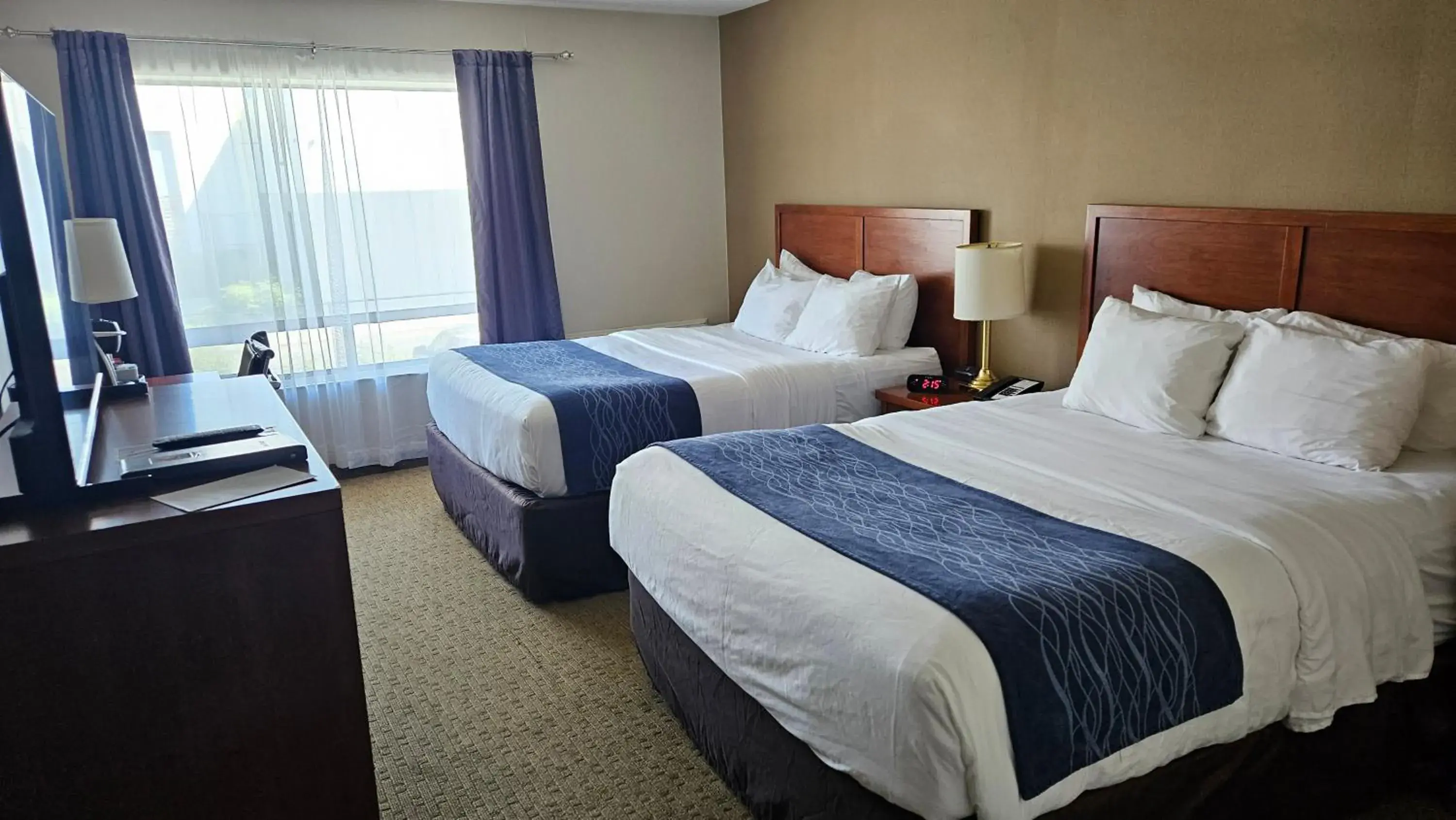 Bedroom, Bed in Comfort Inn Bedroom, Bed in Comfort Inn