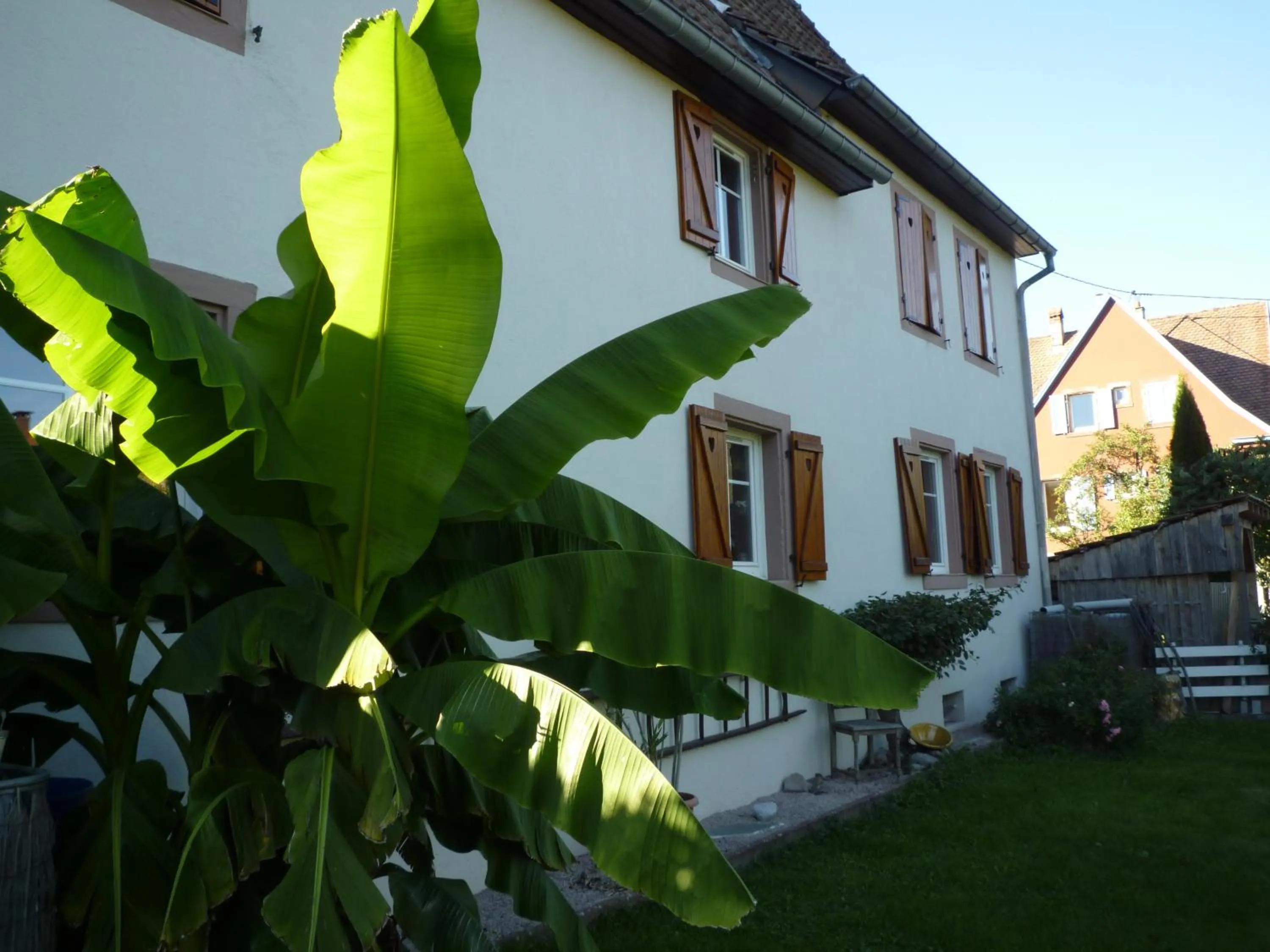 Garden in Gîte La Charmaie