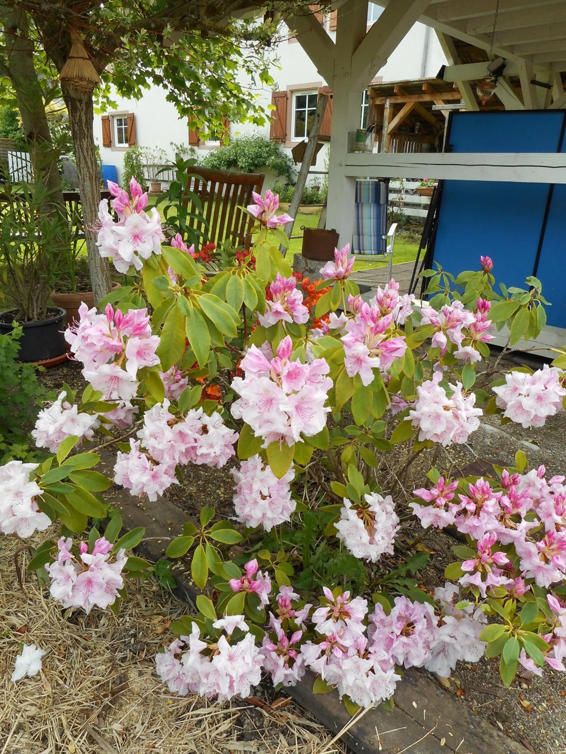 Garden in Gîte La Charmaie