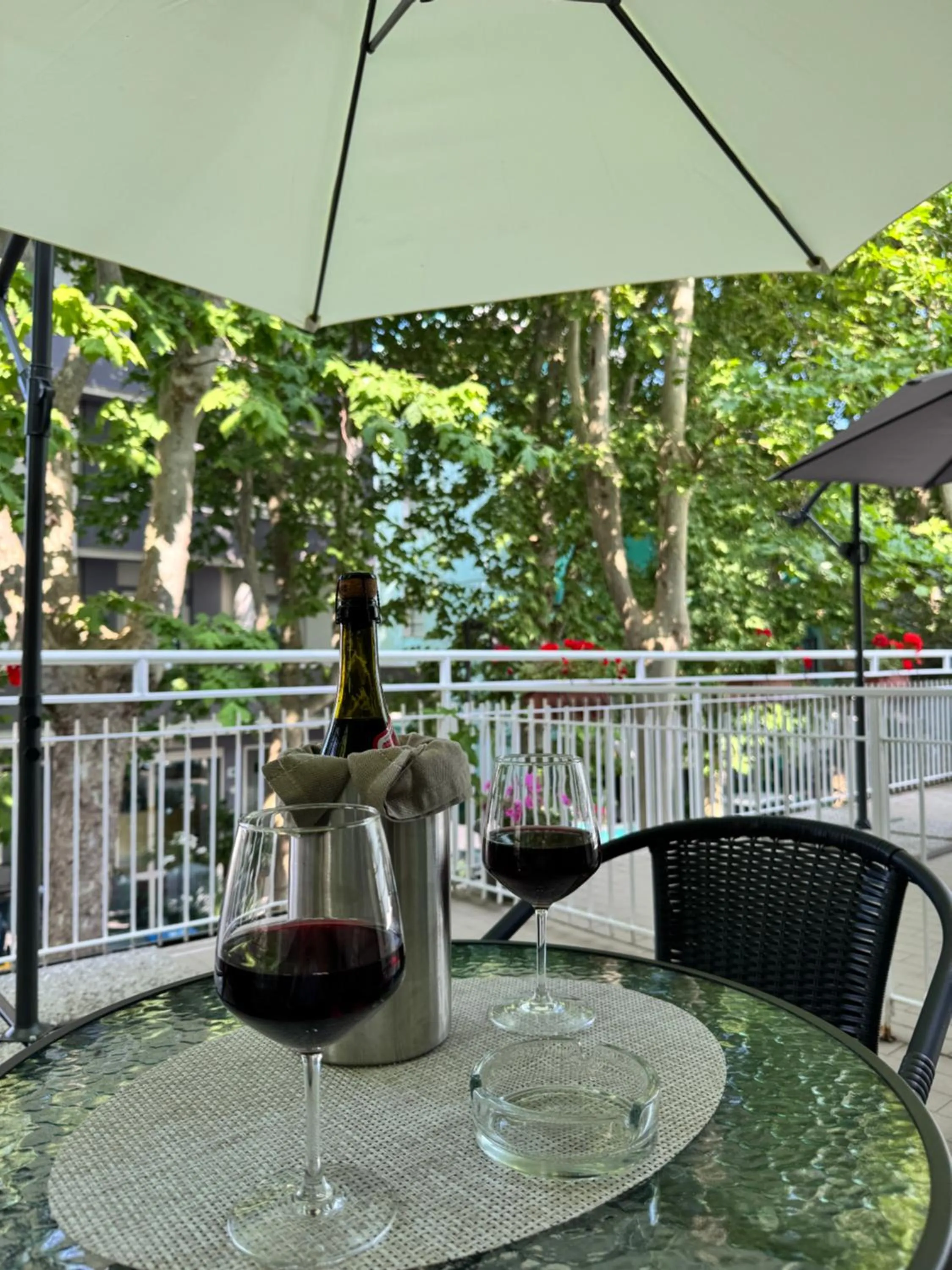 Balcony/Terrace in Blue Hotel