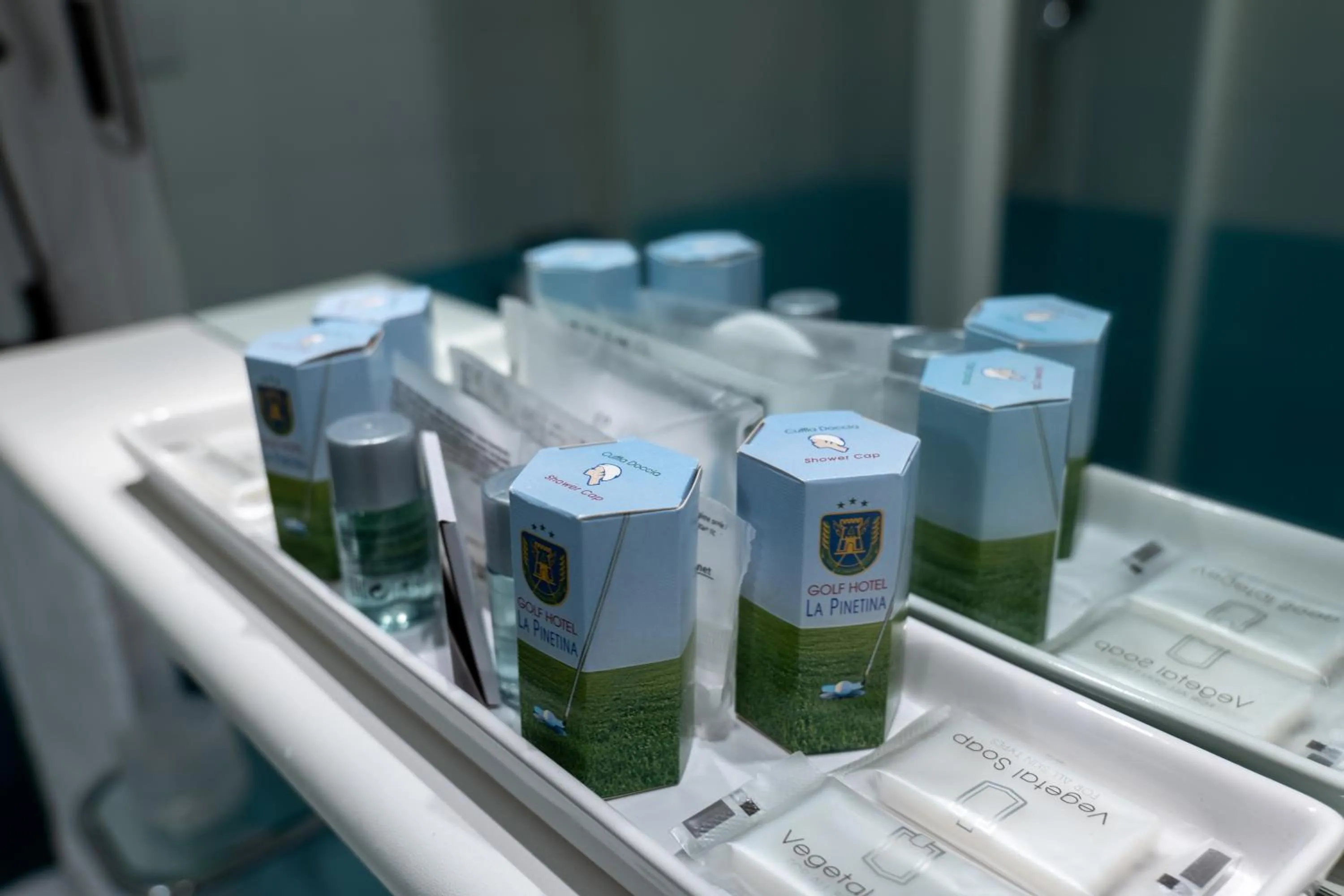 Decorative detail in Golf Hotel La Pinetina